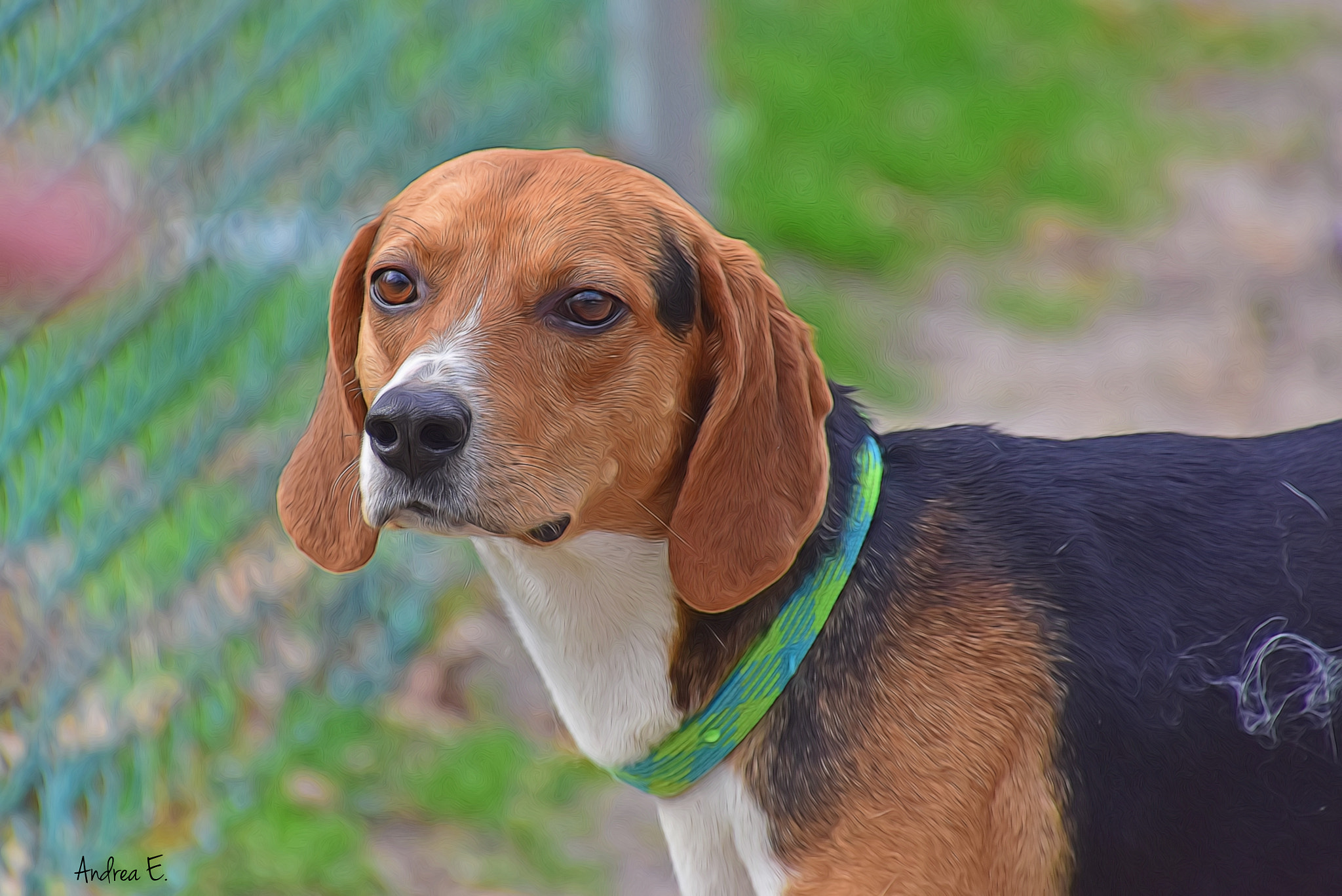 Nikon D7200 sample photo. Mr. bernard <3 photography