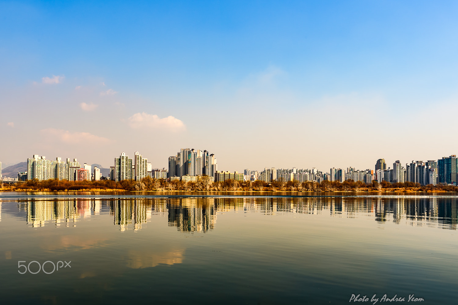 Nikon D5 sample photo. Reflection on the river photography
