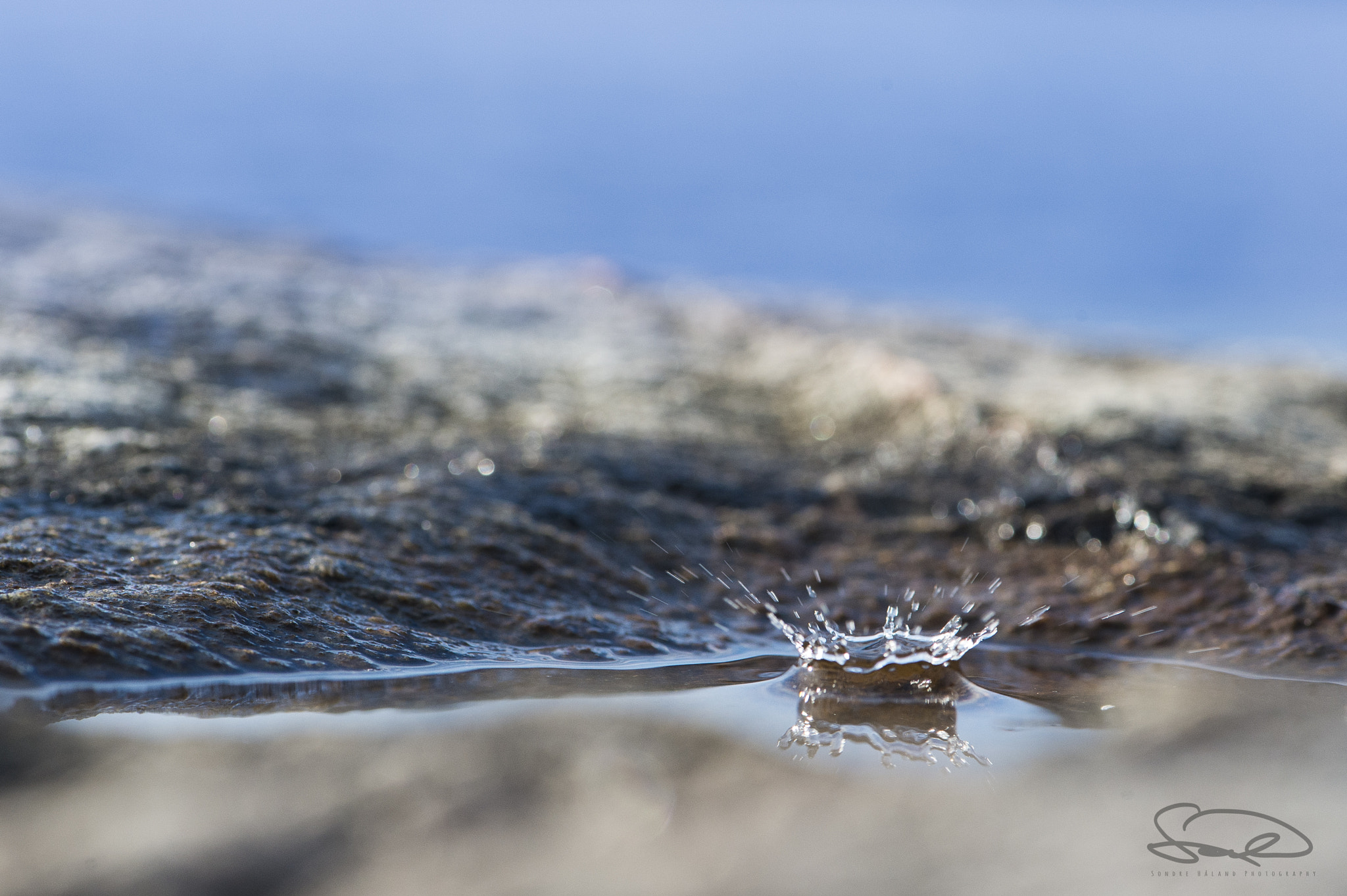 Nikon D4S sample photo. Waterdrop in a pond. photography