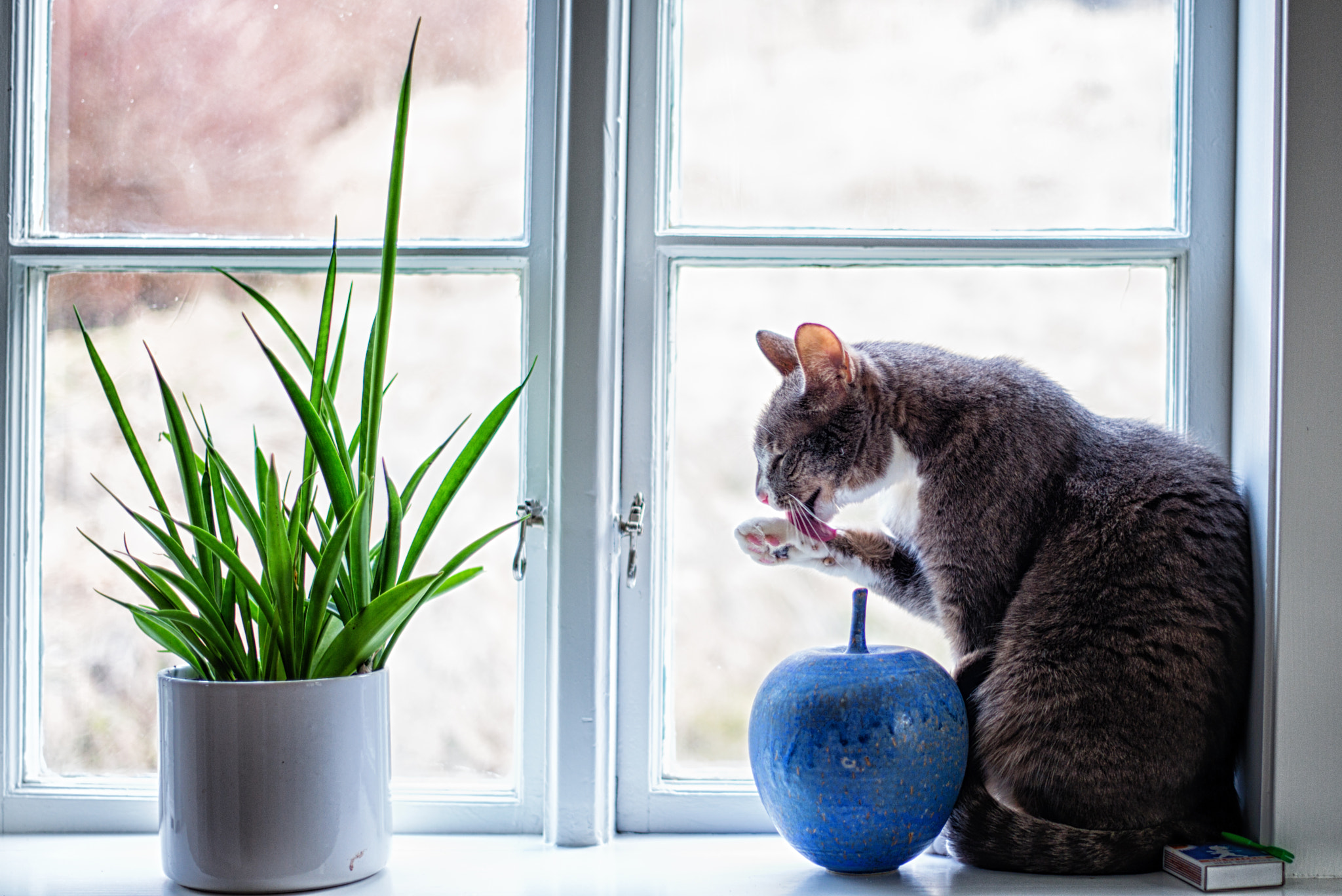 Leica Summilux-M 35mm F1.4 ASPH sample photo. Some cleansing photography