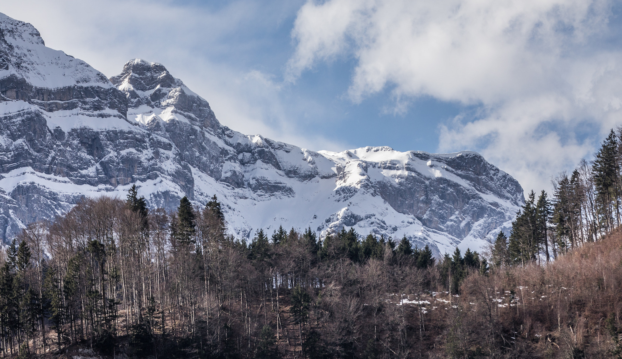 Canon EOS 5D Mark IV + Canon EF 70-200mm F2.8L IS II USM sample photo. Windy morning v photography