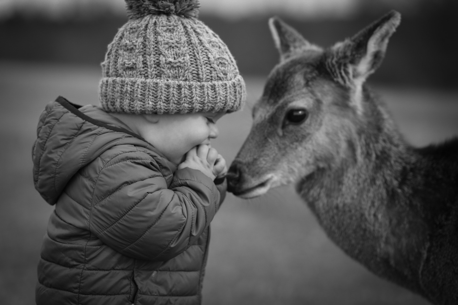 Canon EOS 6D + Canon EF 100mm F2.0 USM sample photo. When the dear came to say hello. photography