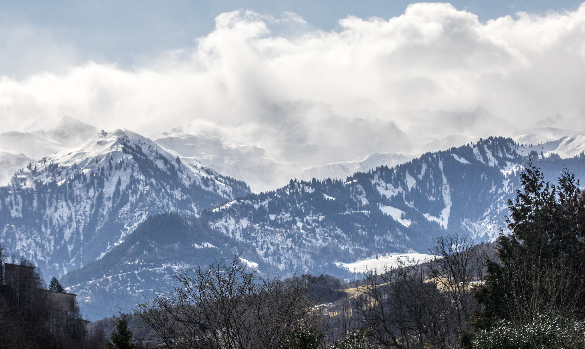 Canon EF 70-200mm F2.8L IS II USM sample photo. Windy morning viii photography