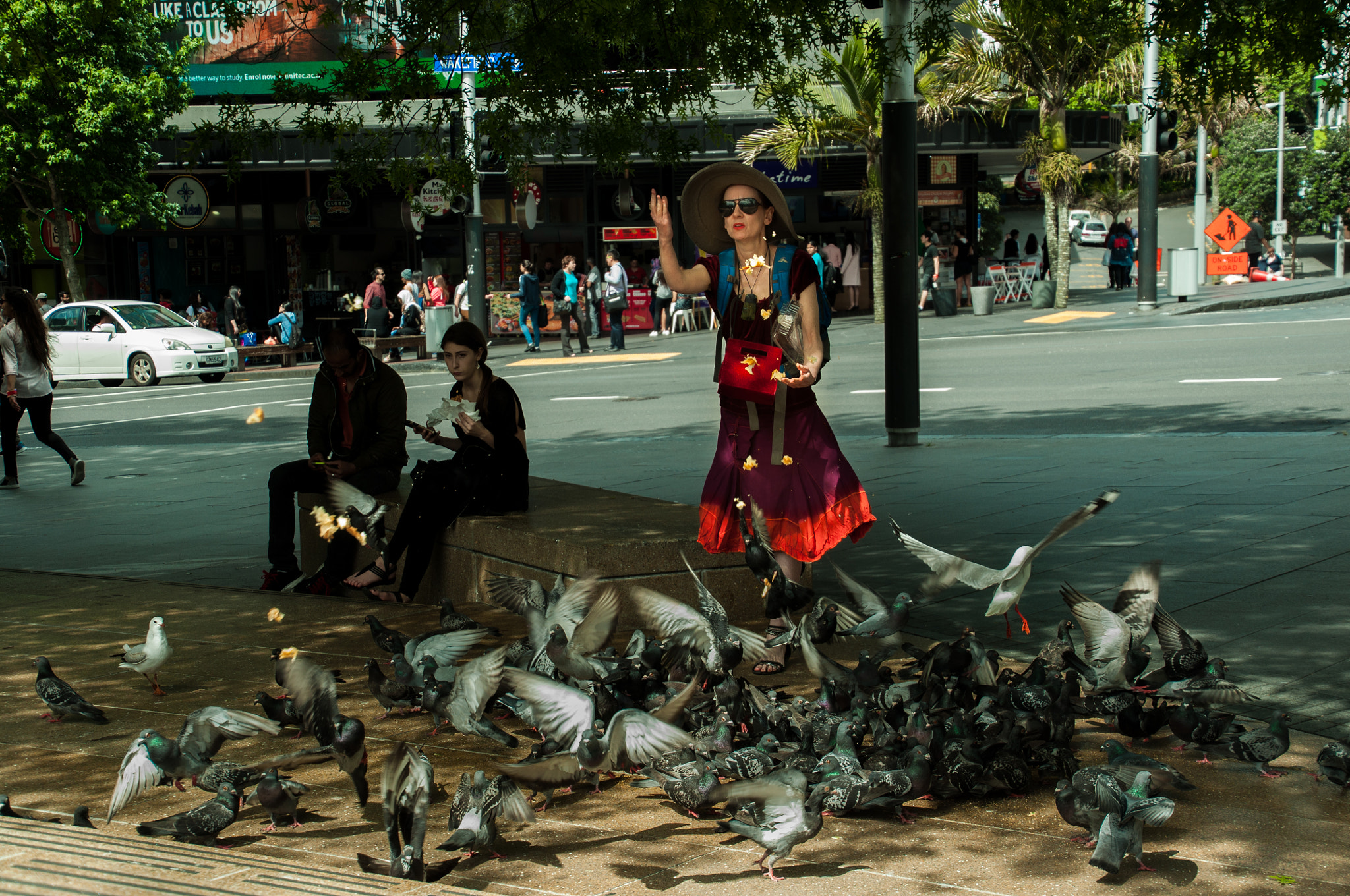 Nikon D5000 sample photo. Hungry birds photography