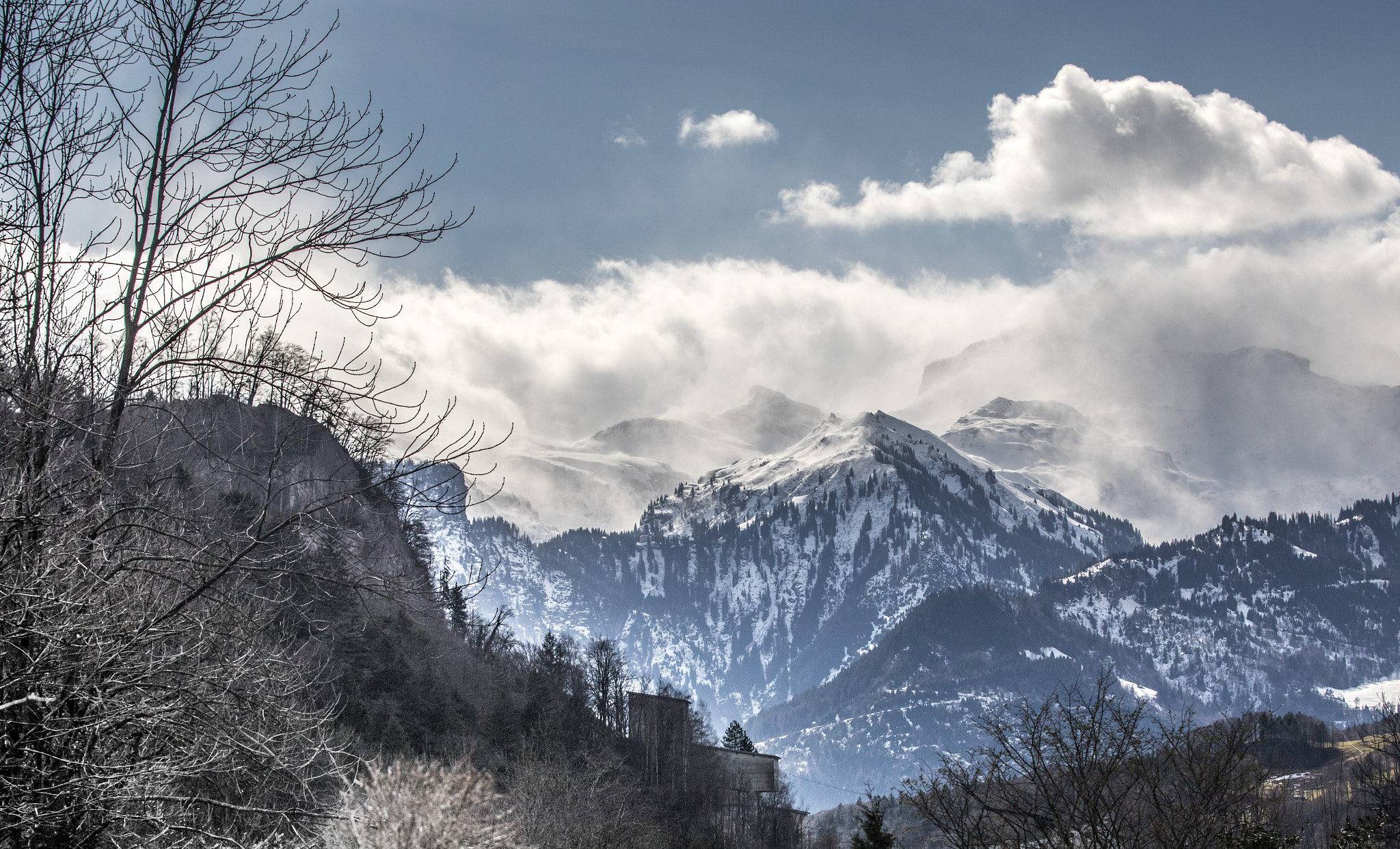 Canon EOS 5D Mark IV + Canon EF 70-200mm F2.8L IS II USM sample photo. Windy morning ix photography