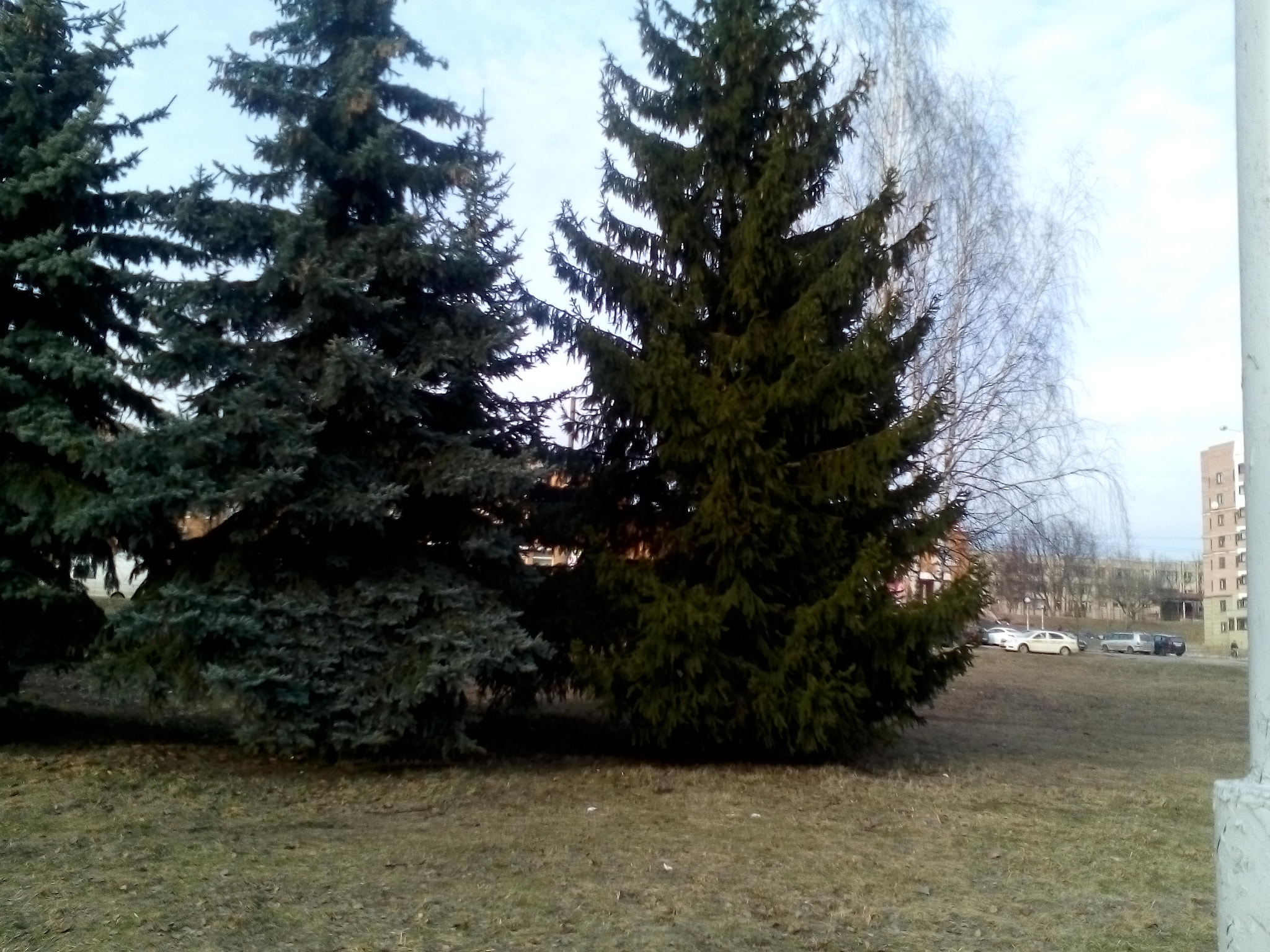 HUAWEI G730-U10 sample photo