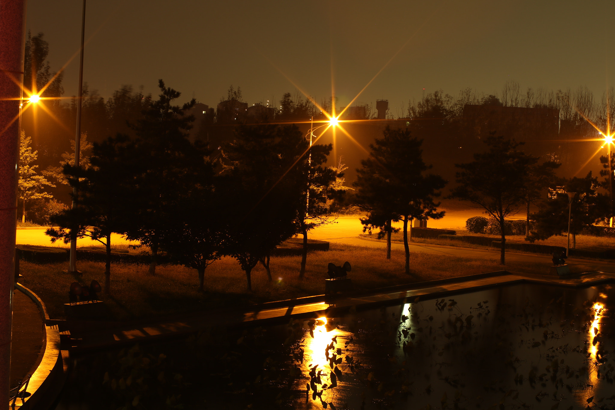Canon EF 50mm F1.2L USM sample photo. Img photography