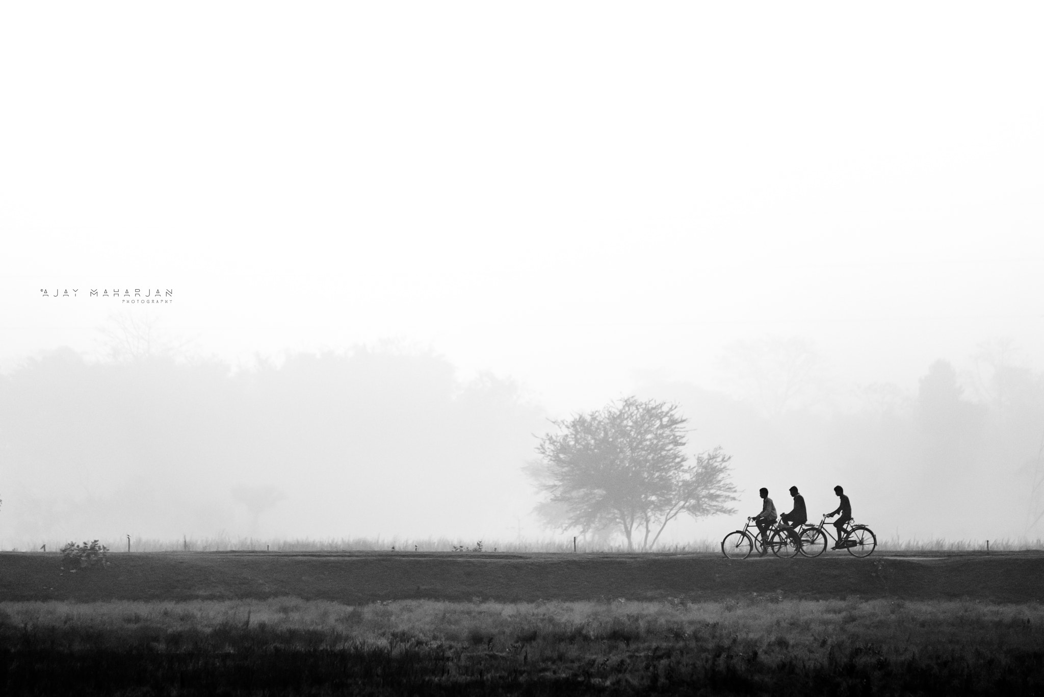 Tamron SP 70-200mm F2.8 Di VC USD sample photo. ~morning ride~ photography