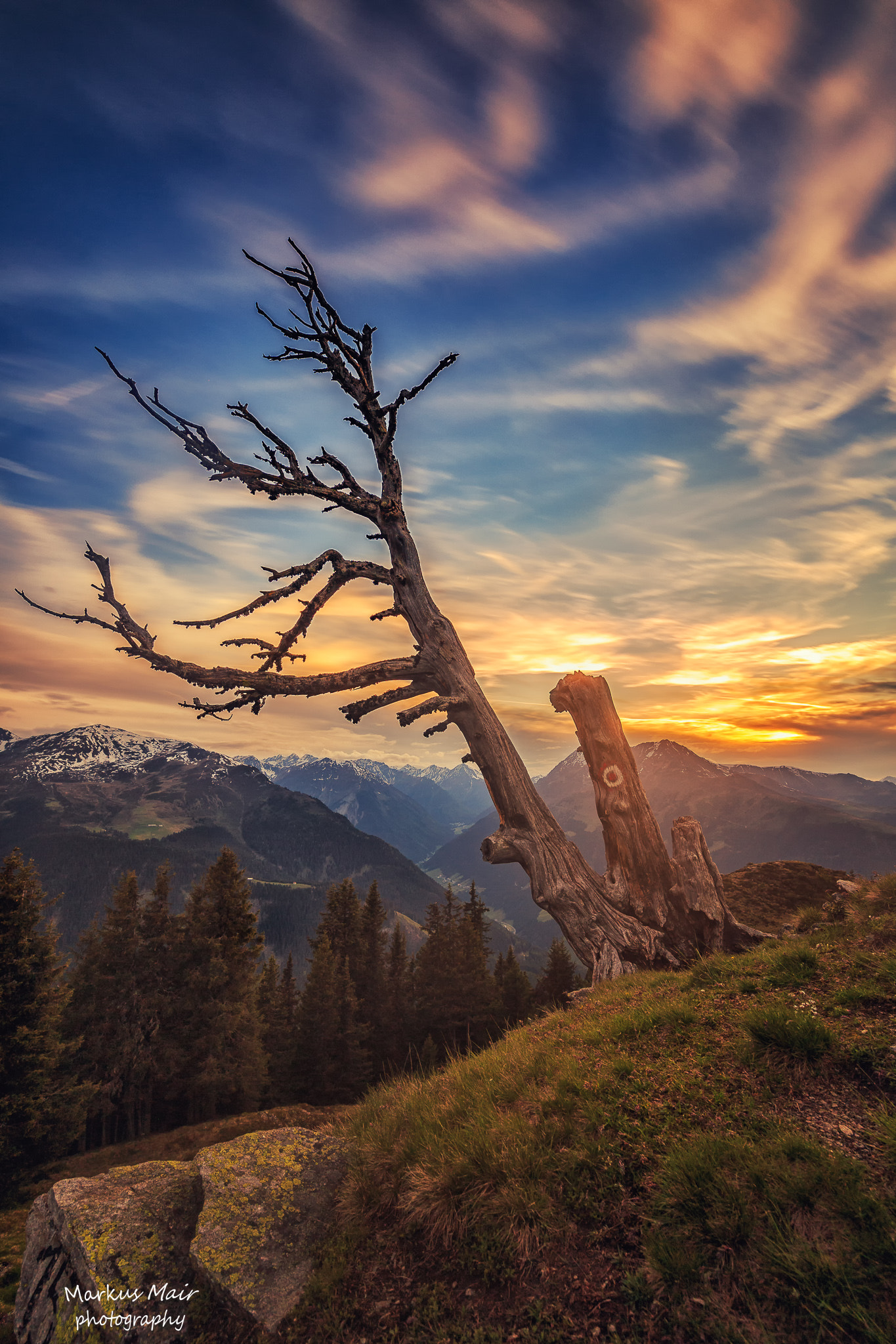 Canon EOS 6D + Canon EF 300mm f/2.8L sample photo. X+ alter baum +x photography