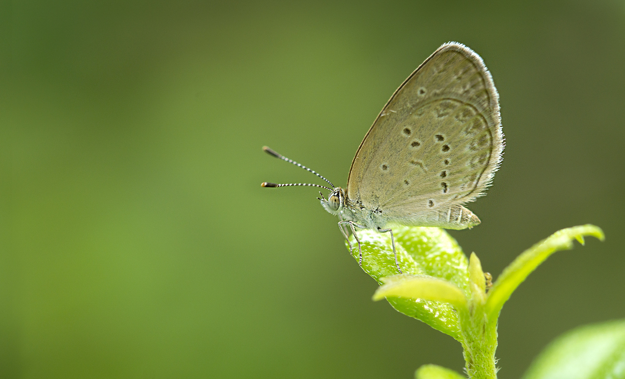 Tamron 18-270mm F3.5-6.3 Di II PZD sample photo. Sitichai photography