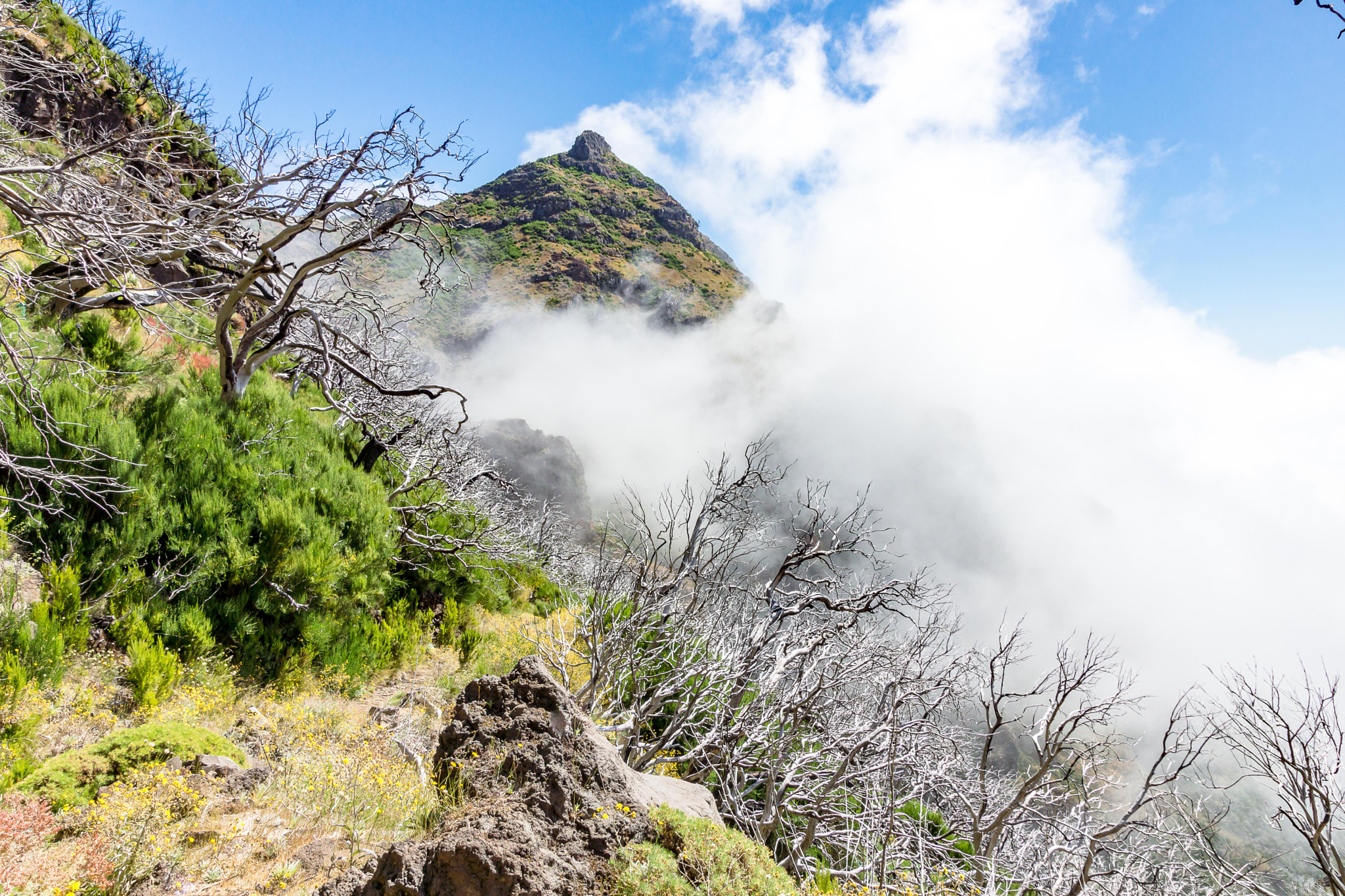 Sony SLT-A65 (SLT-A65V) sample photo. Madeira photography