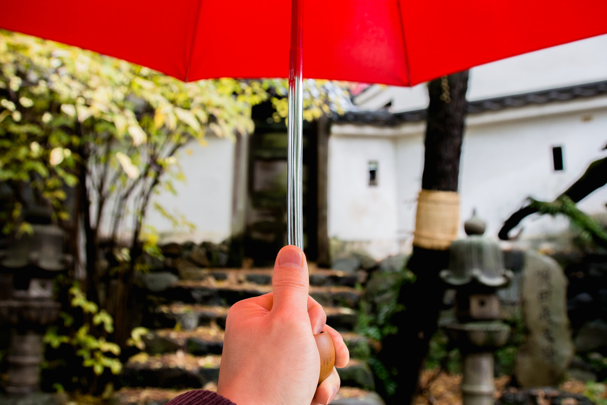Sigma 18-250mm F3.5-6.3 DC Macro OS HSM sample photo. Red umbrella photography