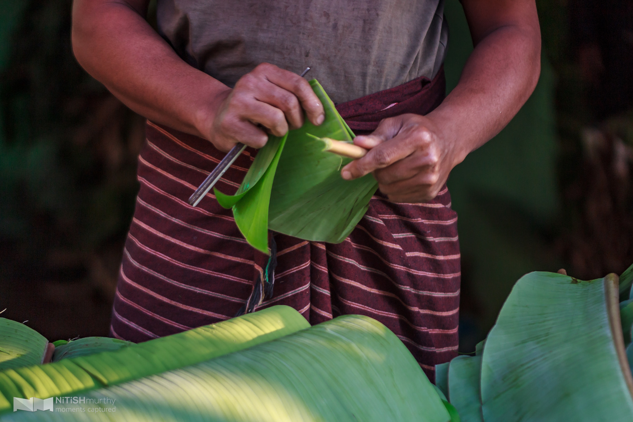 Canon EOS 600D (Rebel EOS T3i / EOS Kiss X5) + Tamron SP AF 60mm F2 Di II LD IF Macro sample photo. Breaking plantain leaves in halves to double his earnings. photography