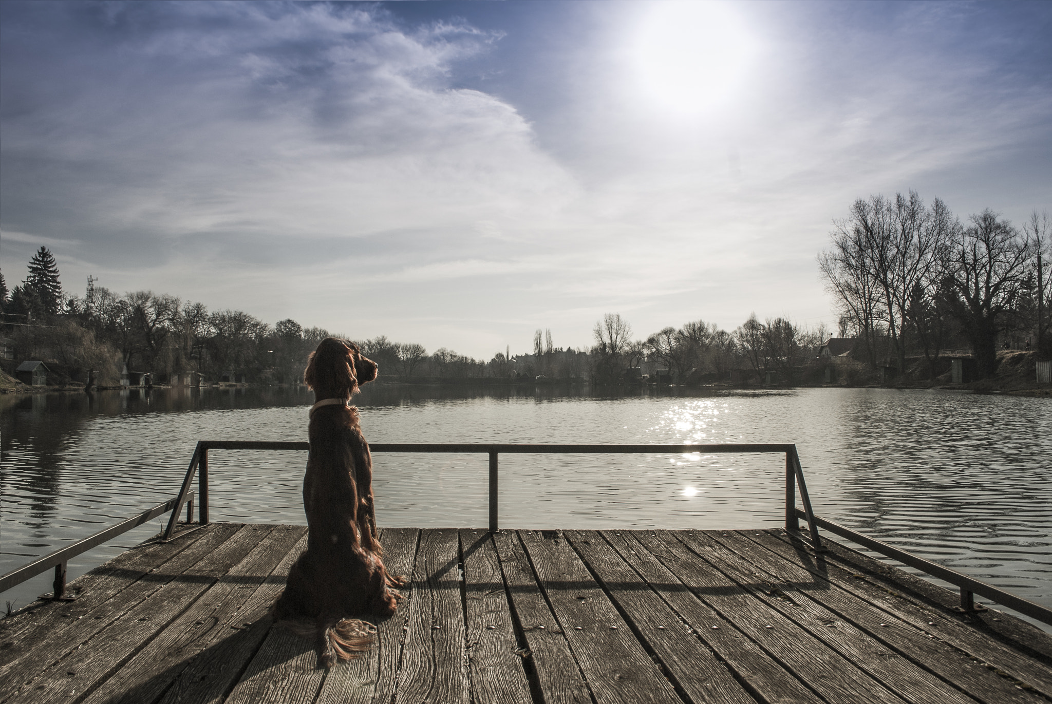 Nikon D200 sample photo. Enjoy the sunrays photography