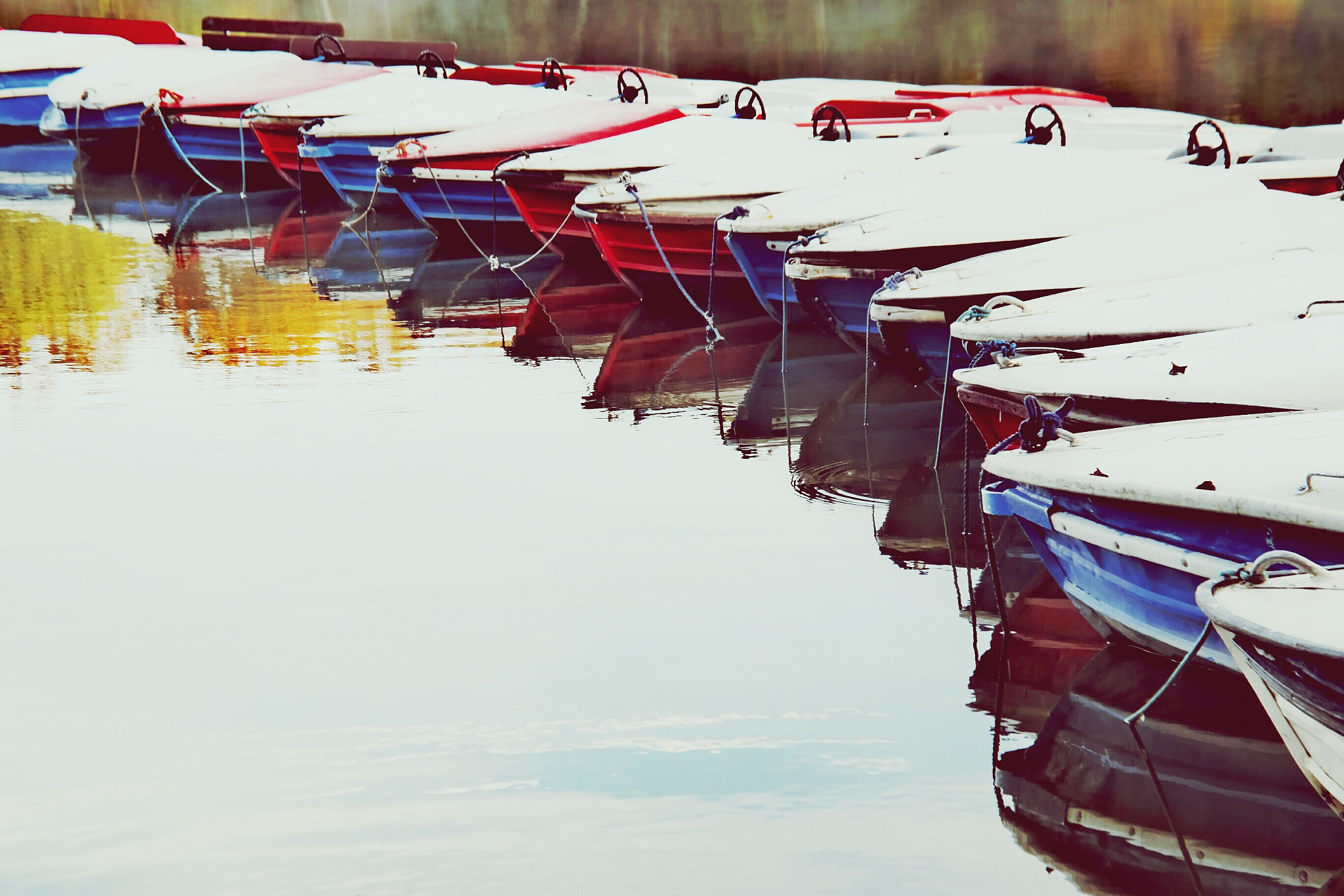 Samsung NX300M sample photo. In a row photography