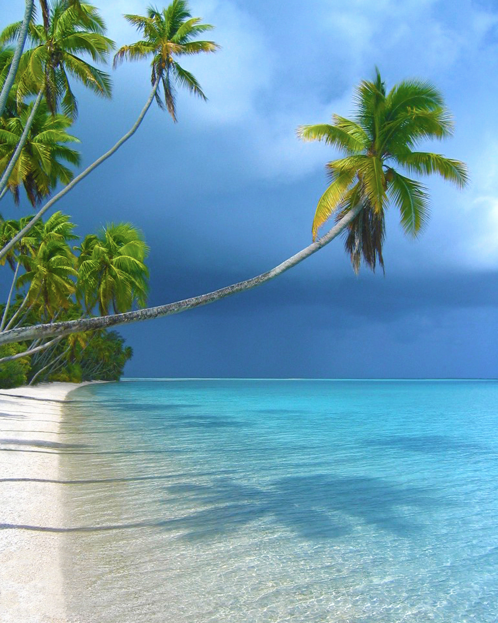 Nikon D600 + Nikon AF-S Nikkor 35mm F1.4G sample photo. Fakarava atoll, french polynesia, south pacific photography