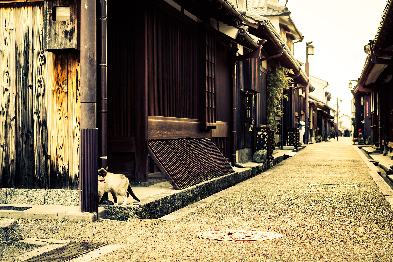 Pentax smc DA 50mm F1.8 sample photo. 今井町 photography