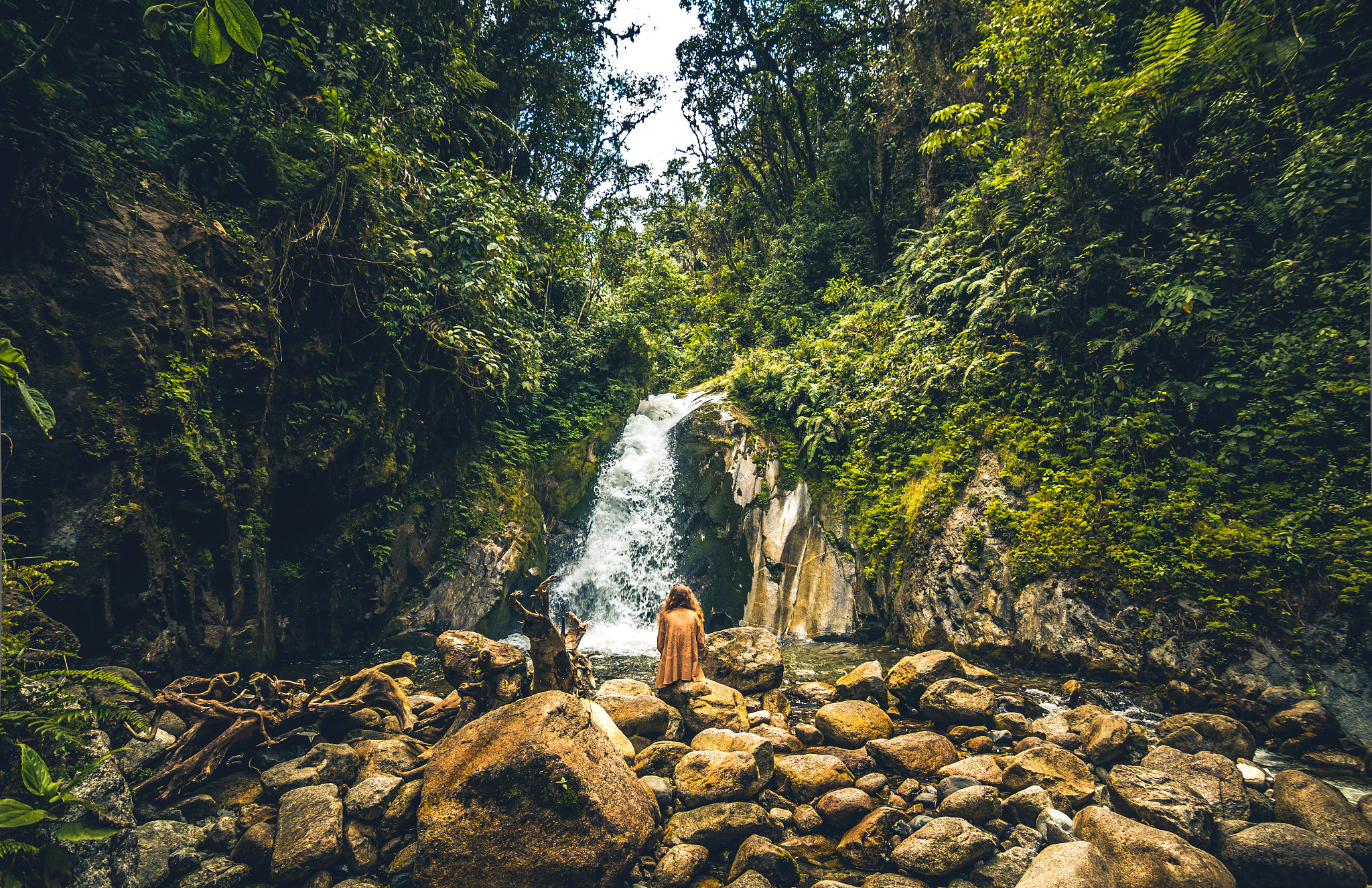 Canon EOS 60D + Tokina AT-X Pro 11-16mm F2.8 DX sample photo. Ceja de selva photography