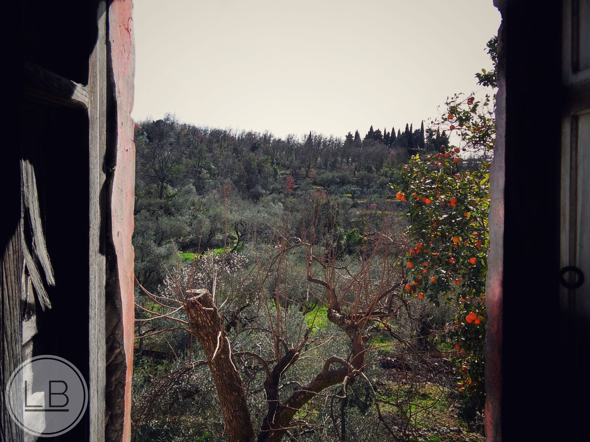 LG G3 S sample photo. Window on the garden photography