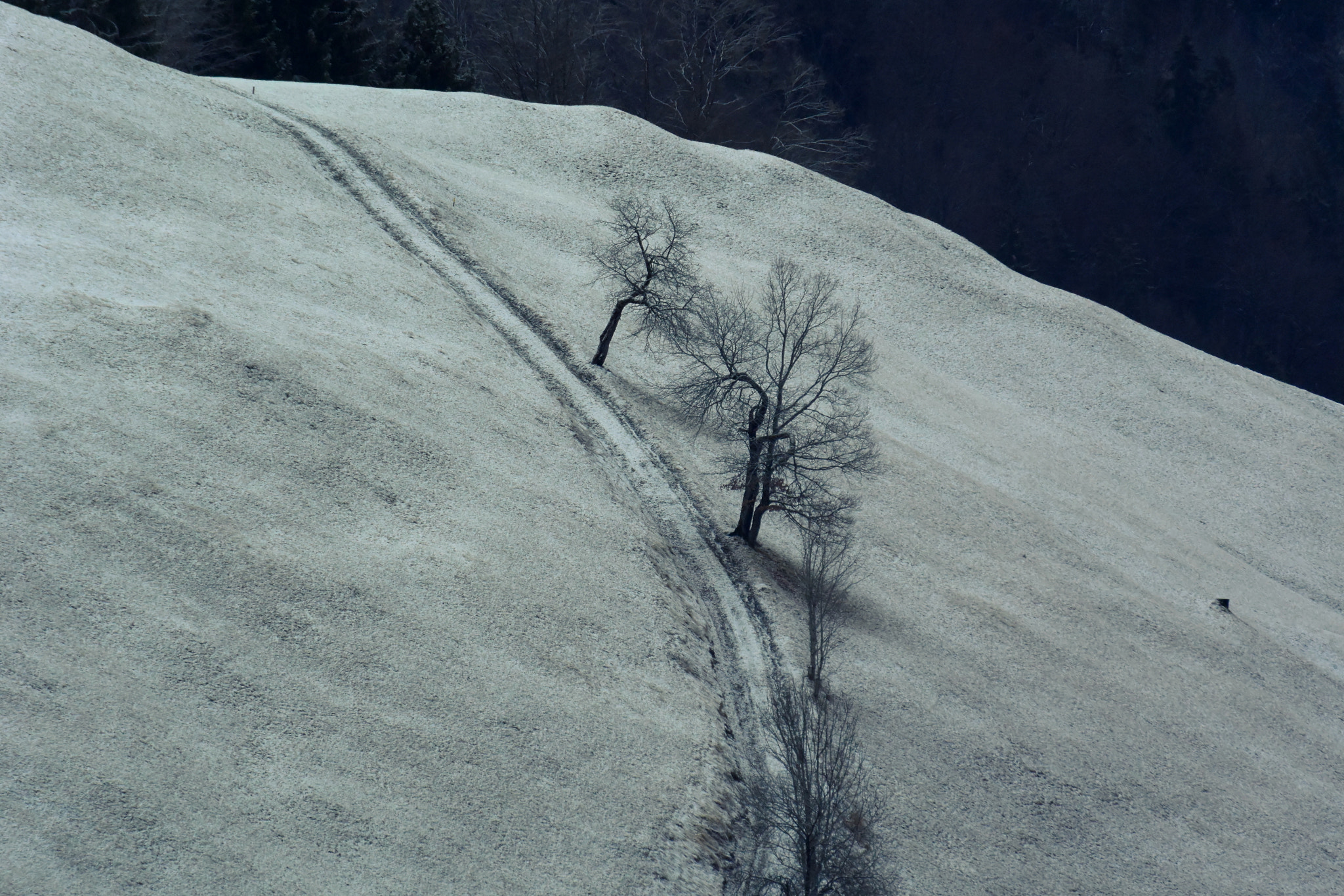 Nikon 1 V3 sample photo. Uphill photography