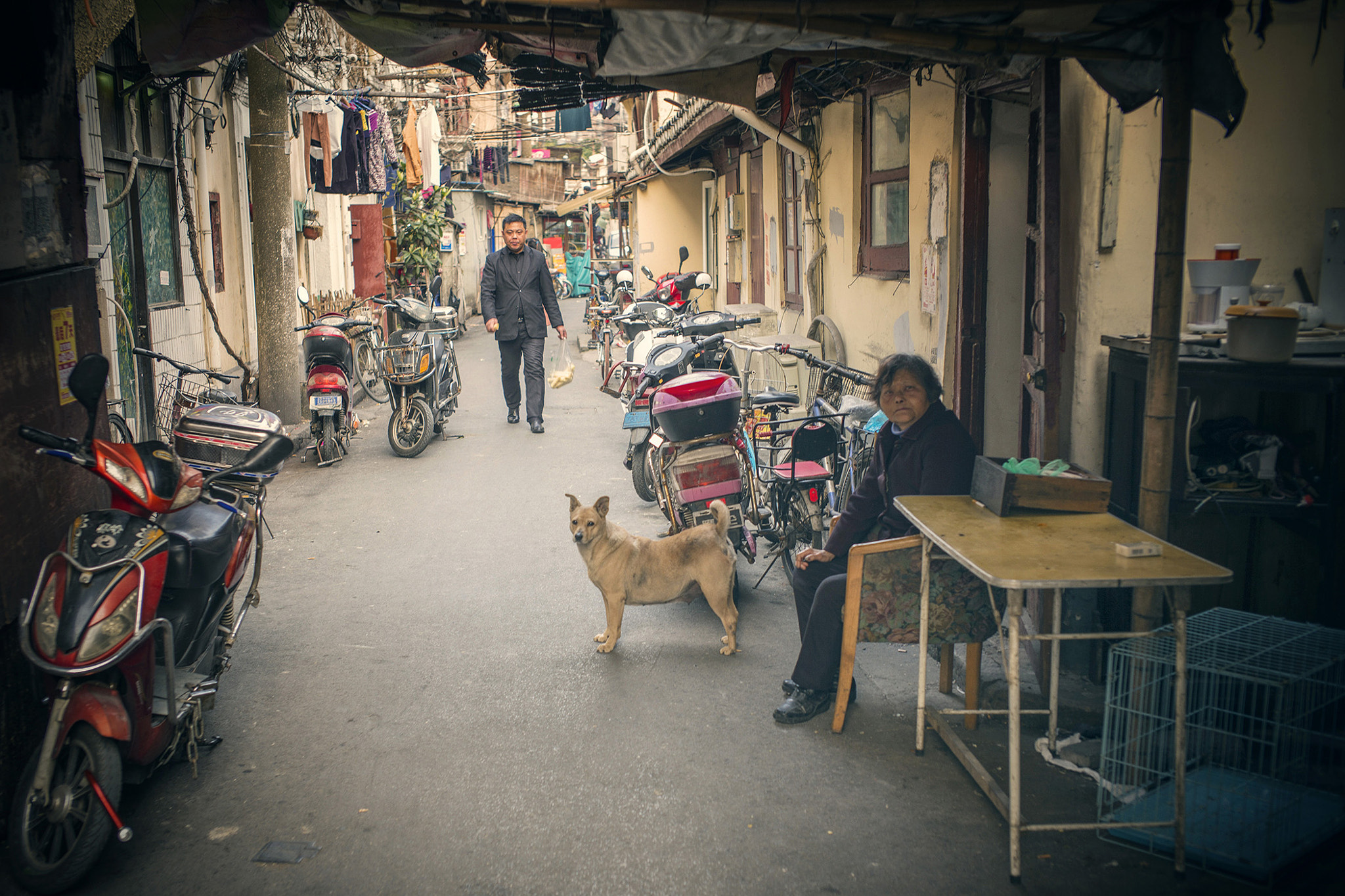 Summicron-M 1:2/35 ASPH. sample photo. 「小品」智穷才竭 photography