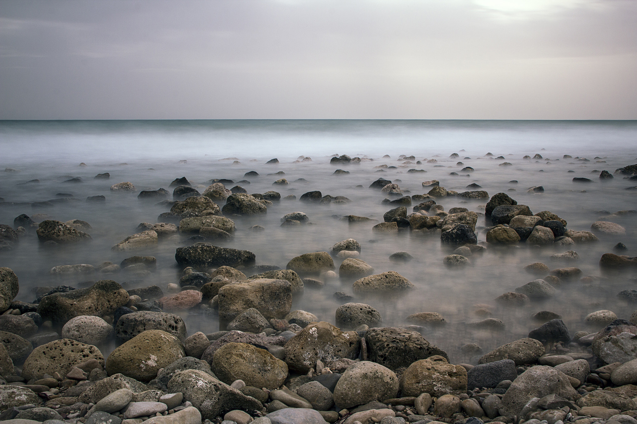 Canon EOS 60D sample photo. Dogs beach photography