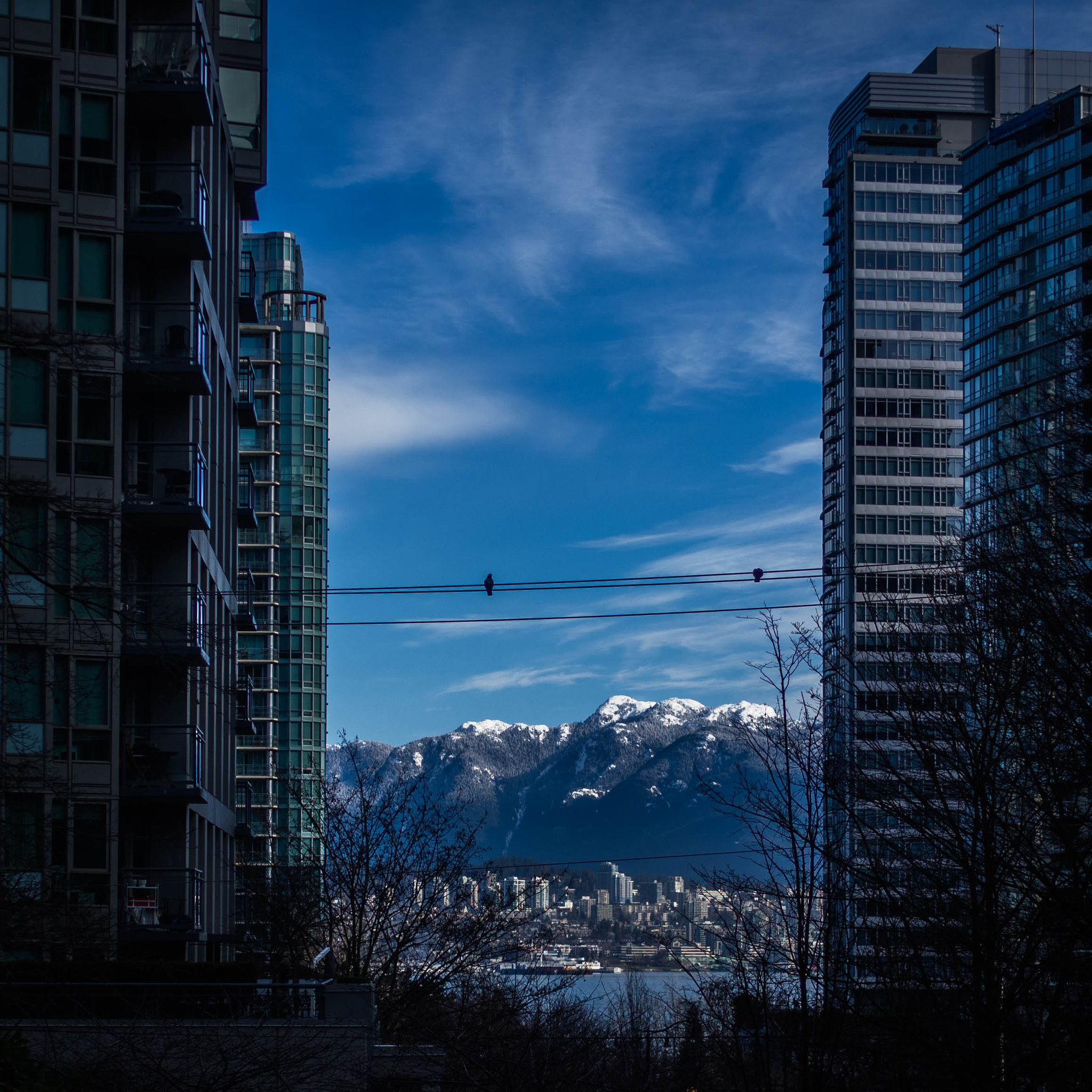 Panasonic Leica DG Summilux 25mm F1.4 II ASPH sample photo. Vancouver street photo photography
