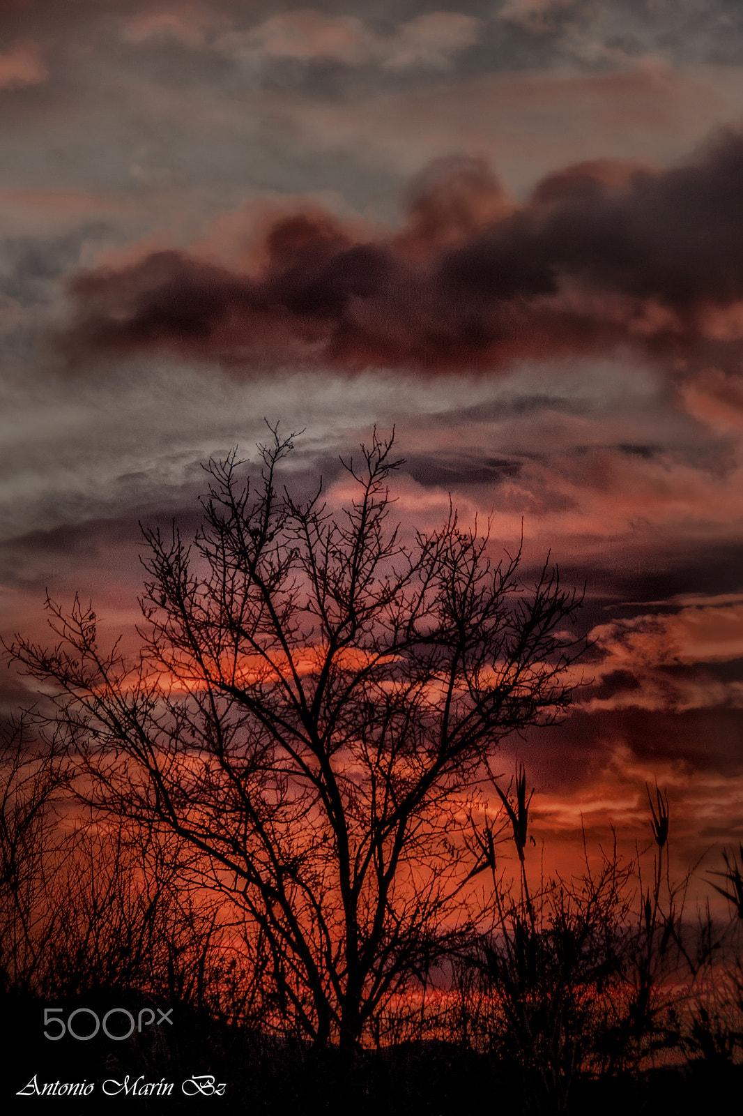 Canon EF-S 18-200mm F3.5-5.6 IS sample photo. Atardecer i photography