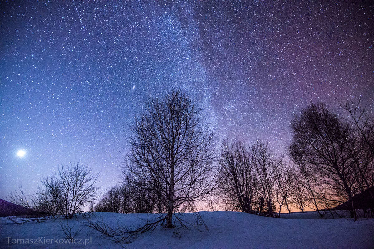 Nikon AF-S Nikkor 16-35mm F4G ED VR sample photo. Bieszczady photography