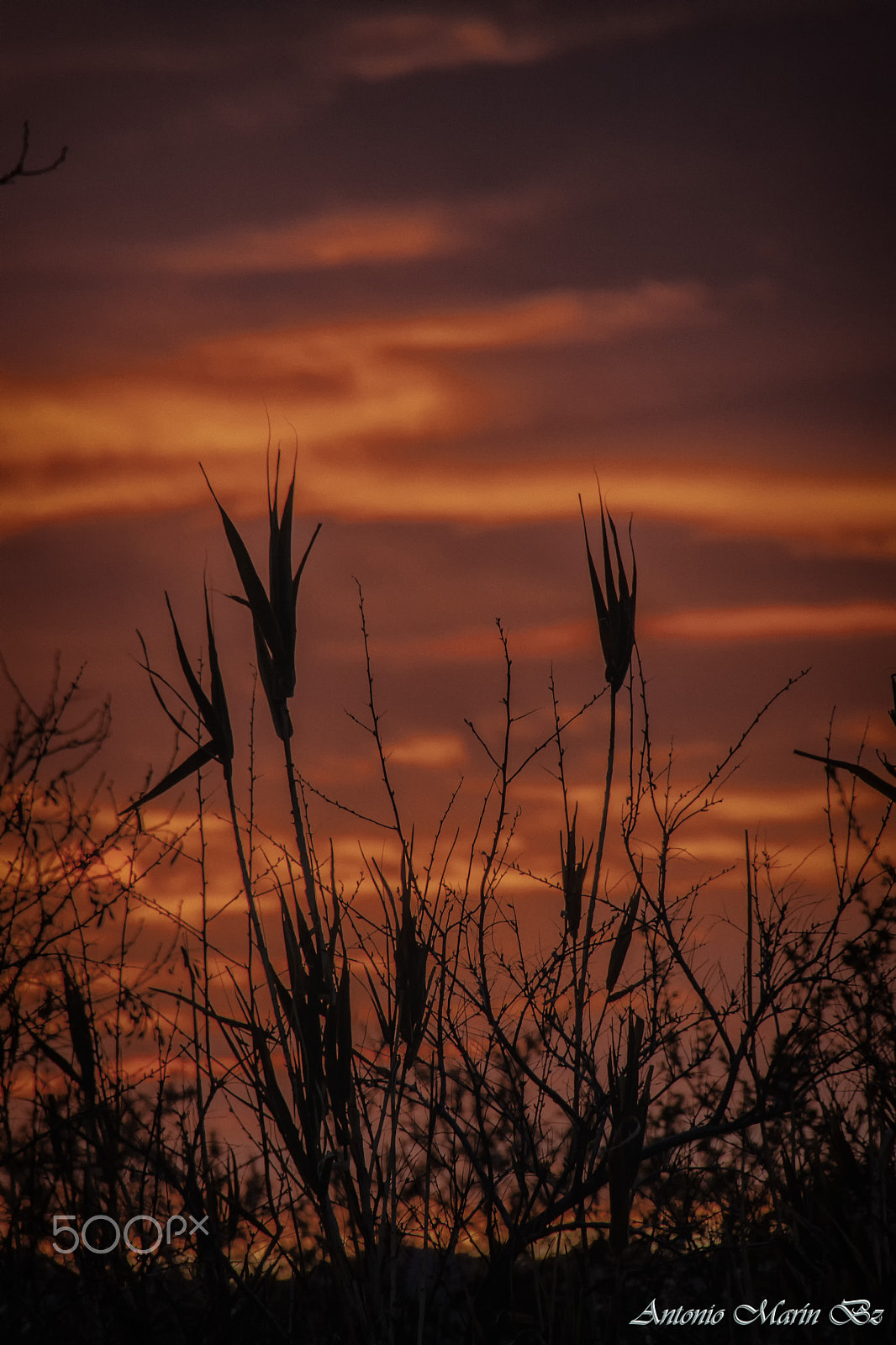 Canon EF-S 18-200mm F3.5-5.6 IS sample photo. Atardecer ii photography