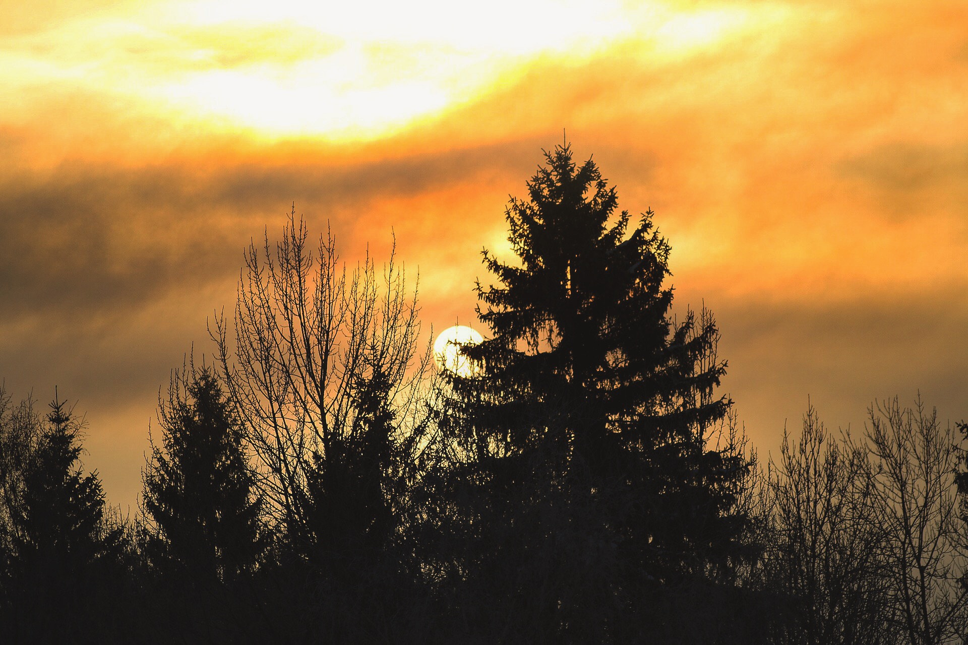 Canon EOS 750D (EOS Rebel T6i / EOS Kiss X8i) sample photo. Into the light photography