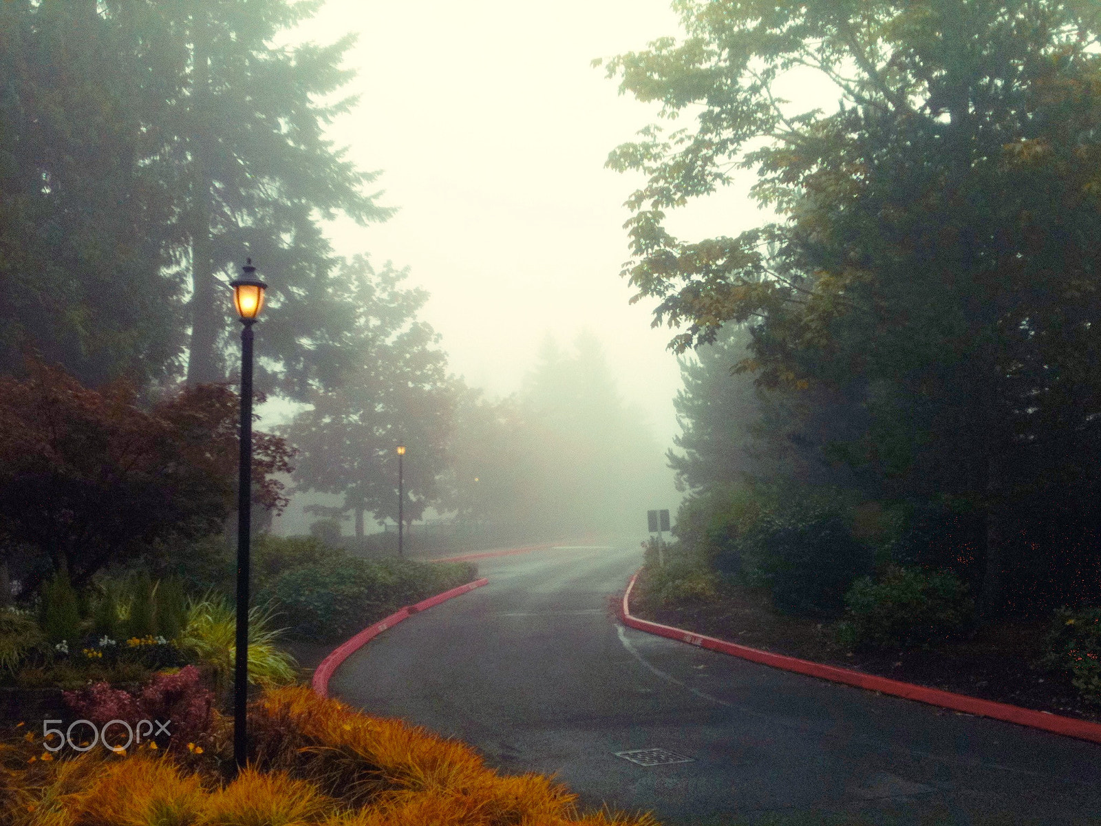 Apple iPhone 3GS sample photo. Foggy morning in bellevue photography