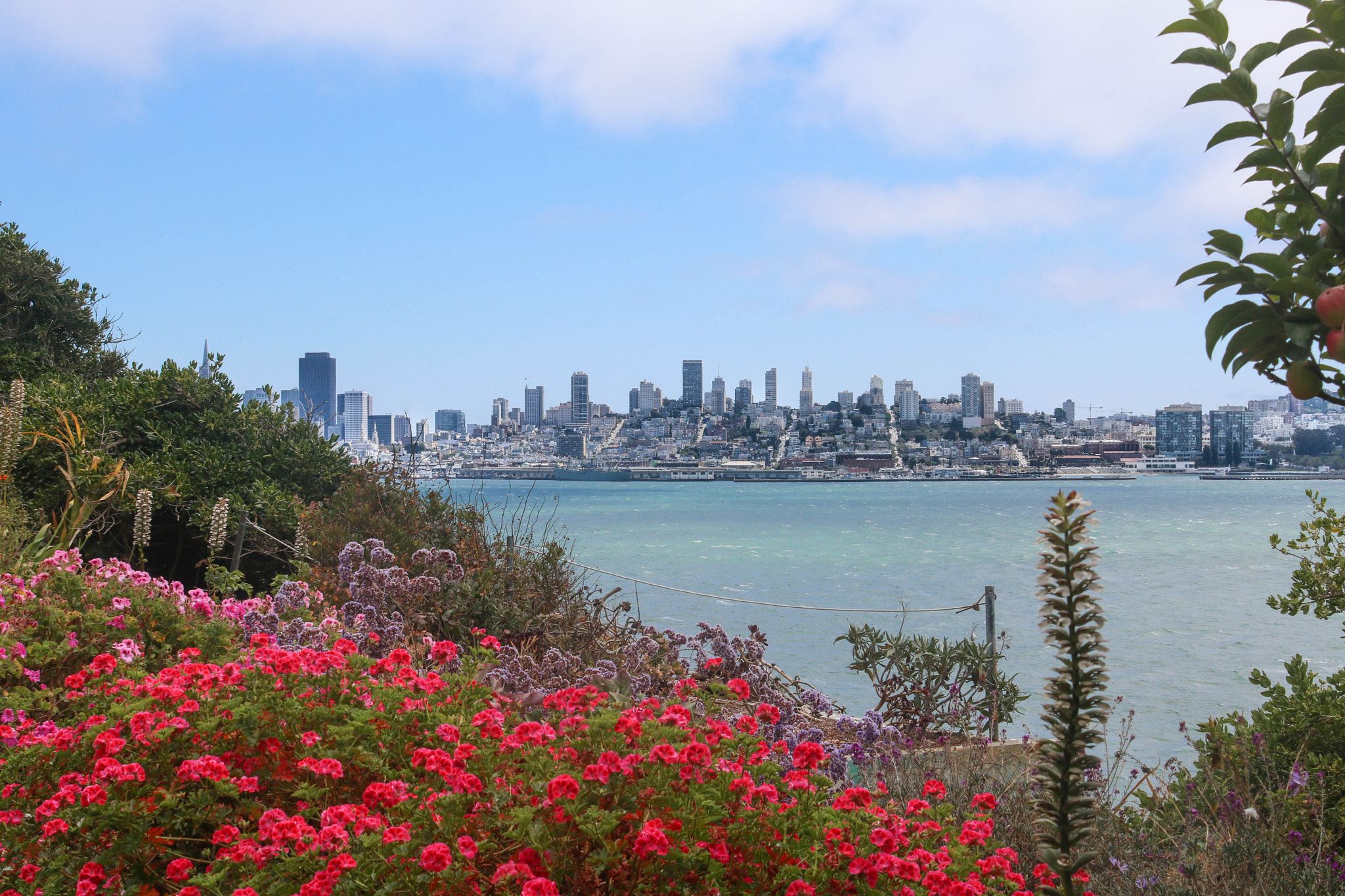Canon EOS 760D (EOS Rebel T6s / EOS 8000D) sample photo. San francisco photography
