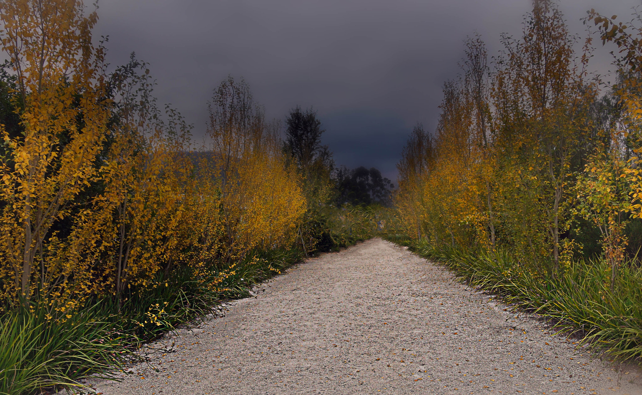 Sony DT 18-250mm F3.5-6.3 sample photo. Road to winter photography