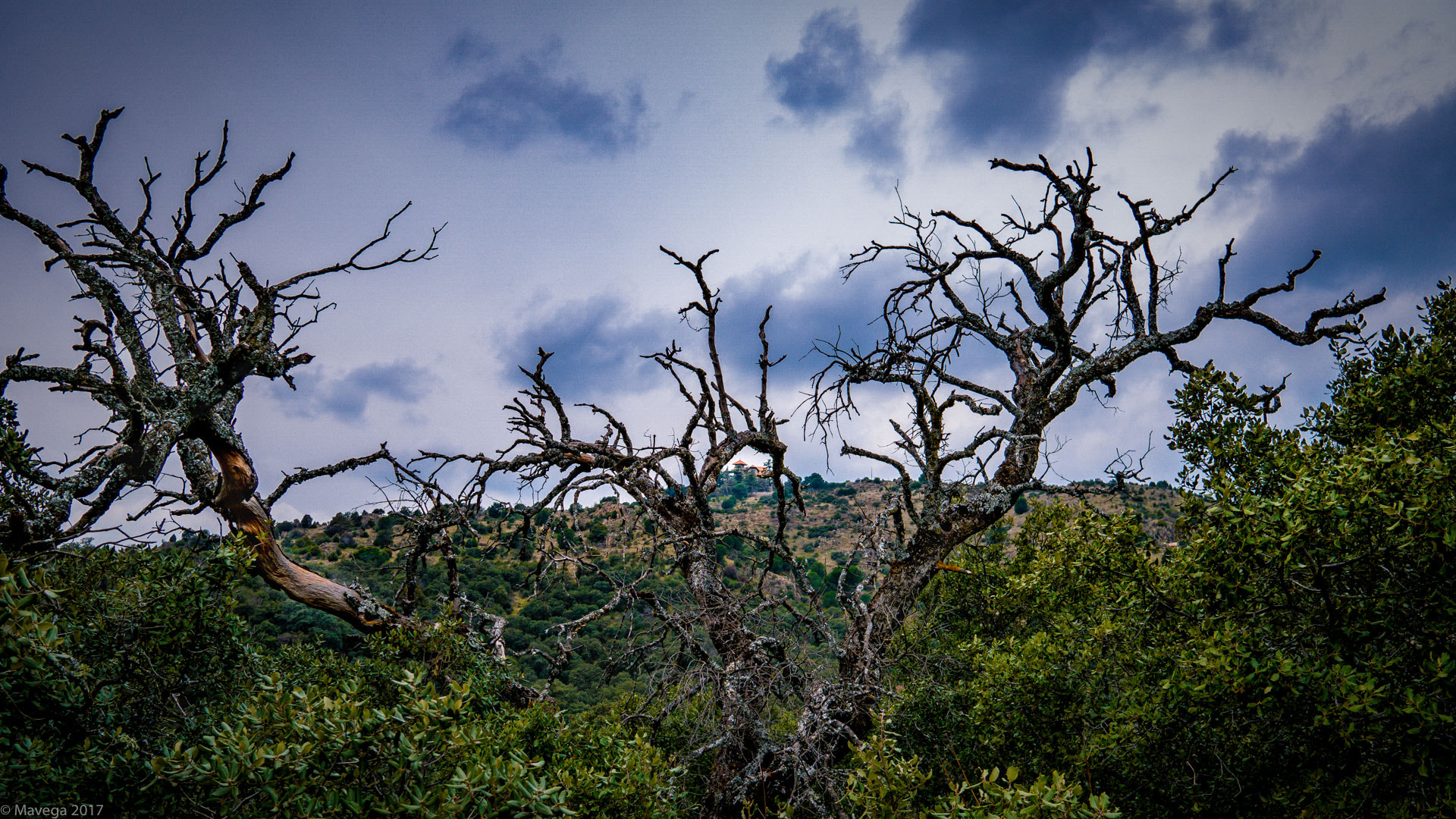 Sony a6300 + Sigma 19mm F2.8 EX DN sample photo. The house on the hill photography