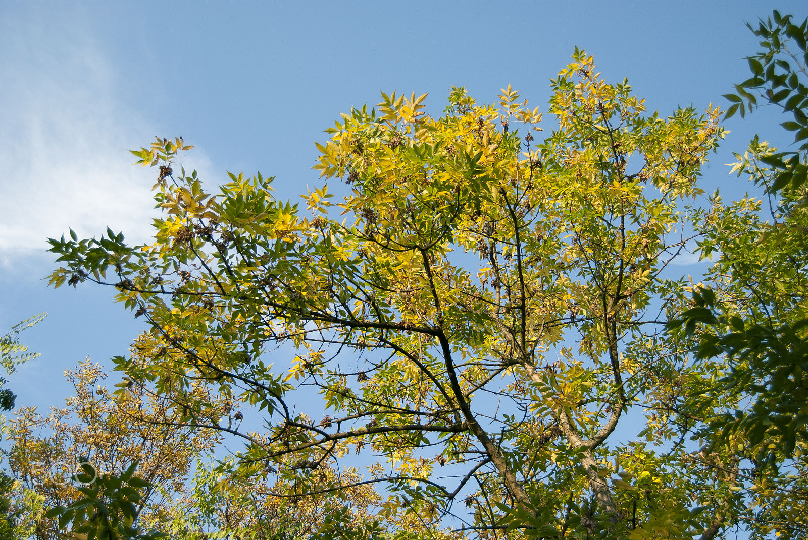 Nikon D80 sample photo. At the sky photography
