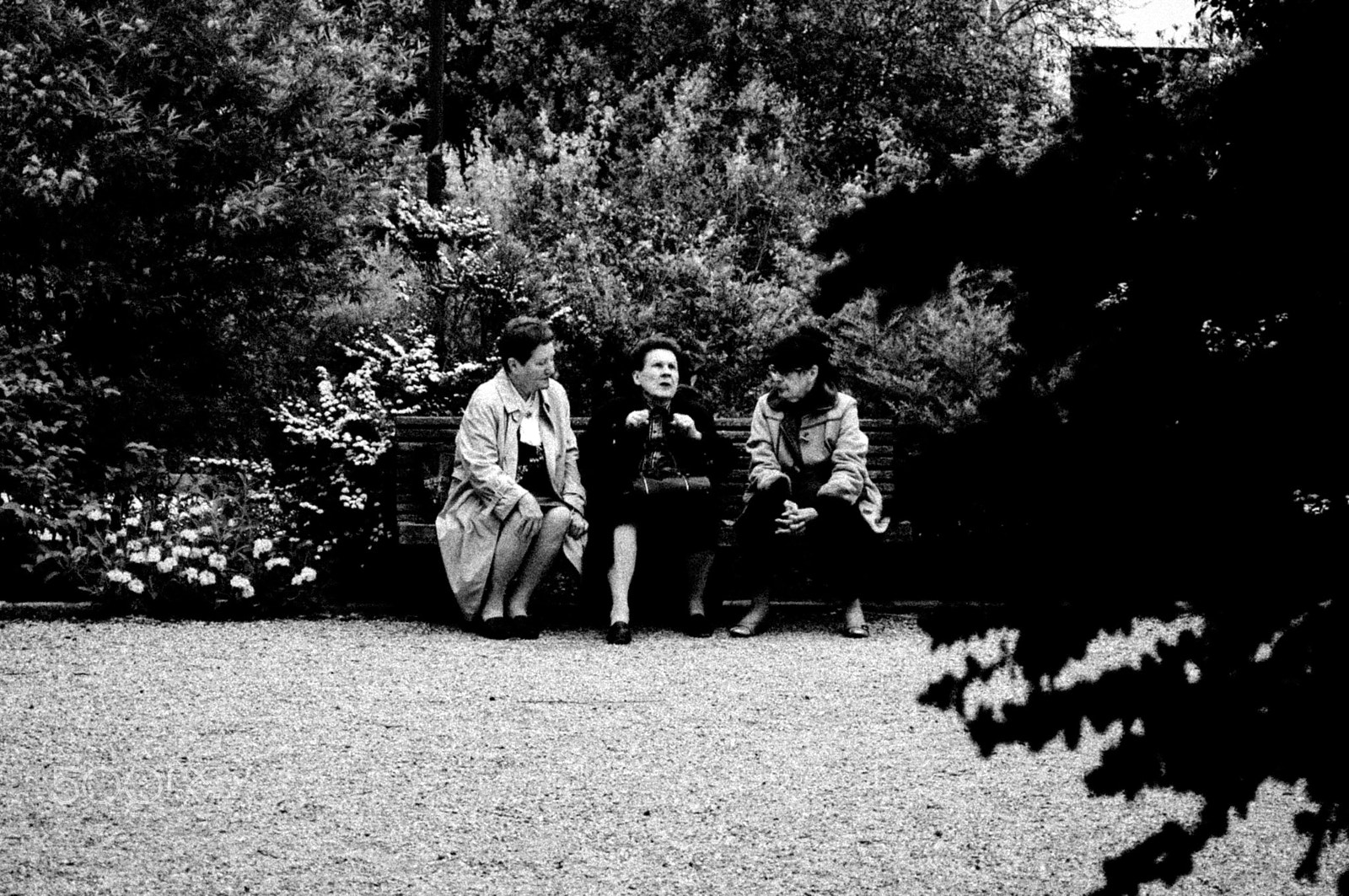 Nikon D70 sample photo. A l'écoute... photography