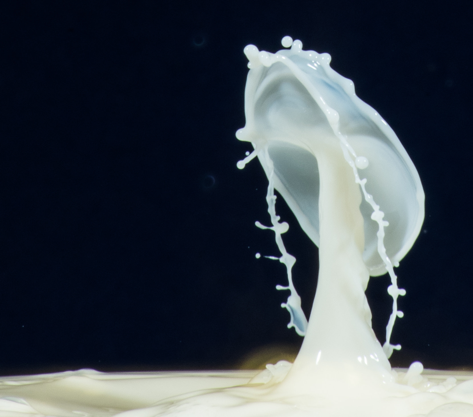 Nikon D810 sample photo. Splash photography photography