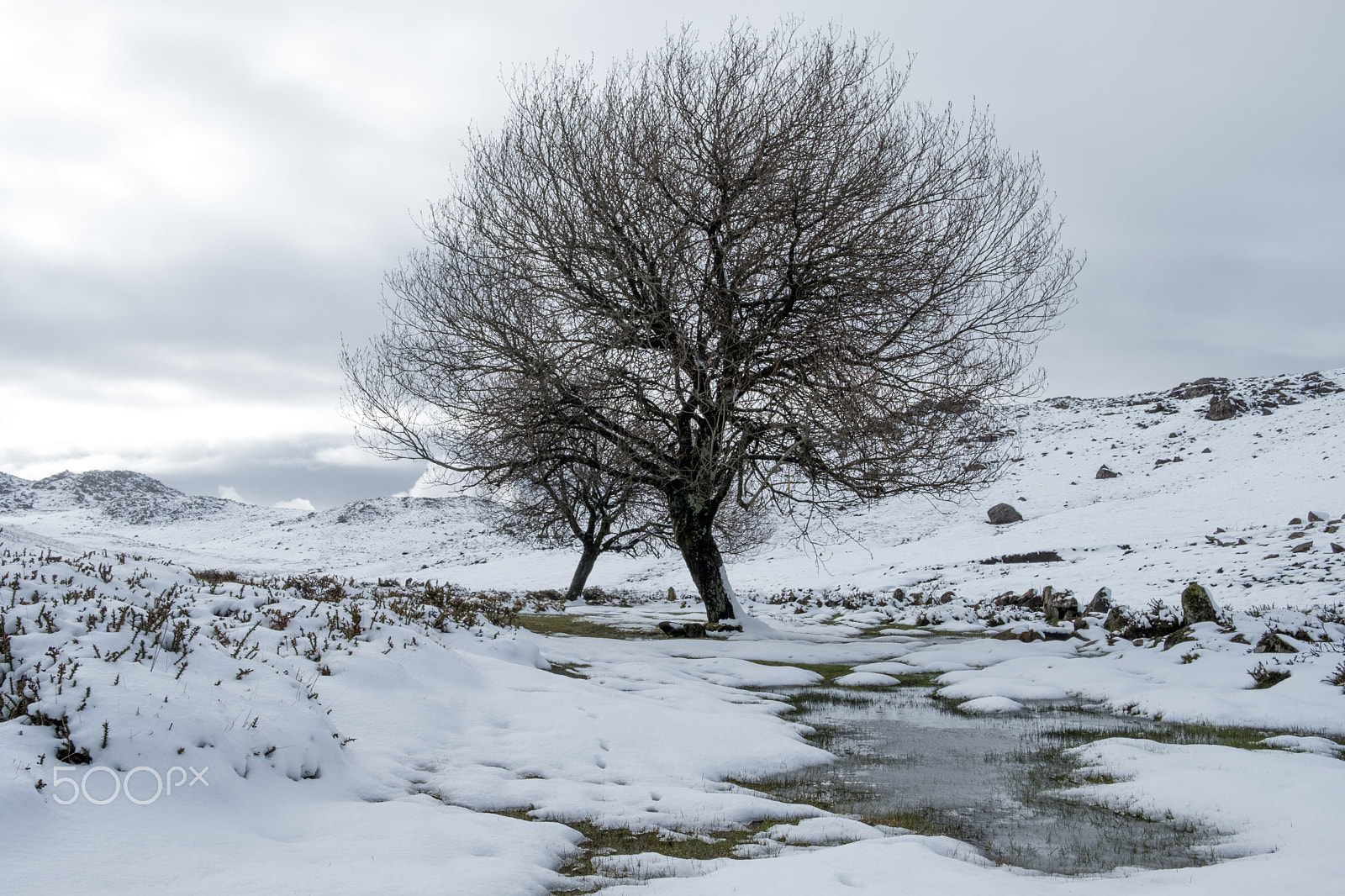 Fujifilm X-T2 sample photo. Serra da freita photography