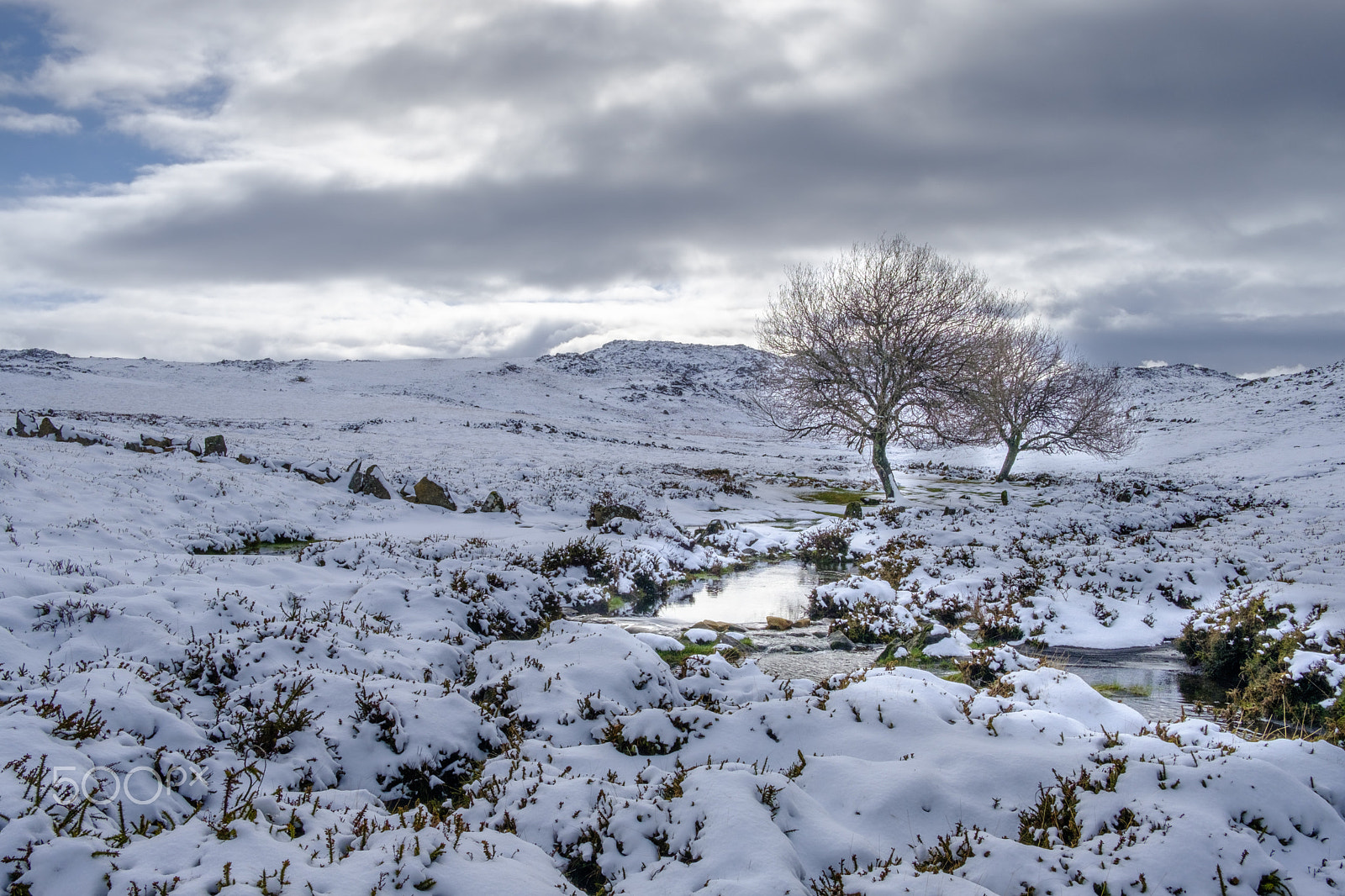 Fujifilm X-T2 sample photo. Serra da freita photography