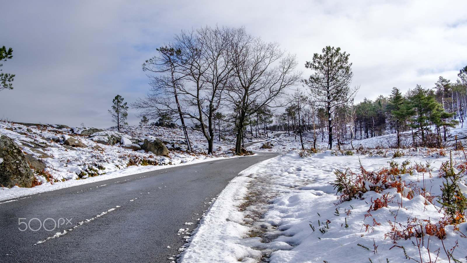 Fujifilm X-T2 + Fujifilm XF 23mm F2 R WR sample photo. Serra da freita photography