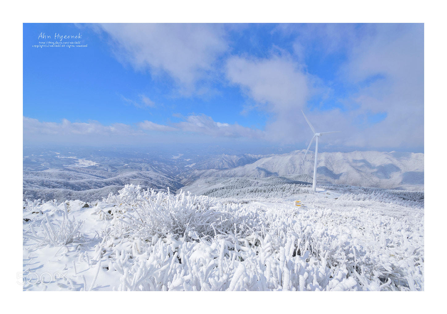 Nikon AF-S Nikkor 17-35mm F2.8D ED-IF sample photo. The winter photography