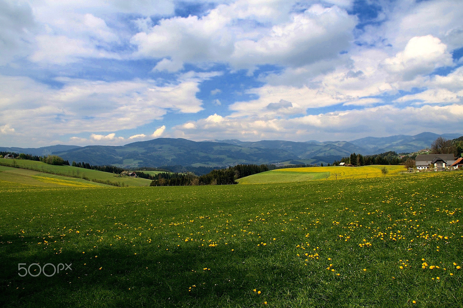 Canon EOS 40D sample photo. Soon photography