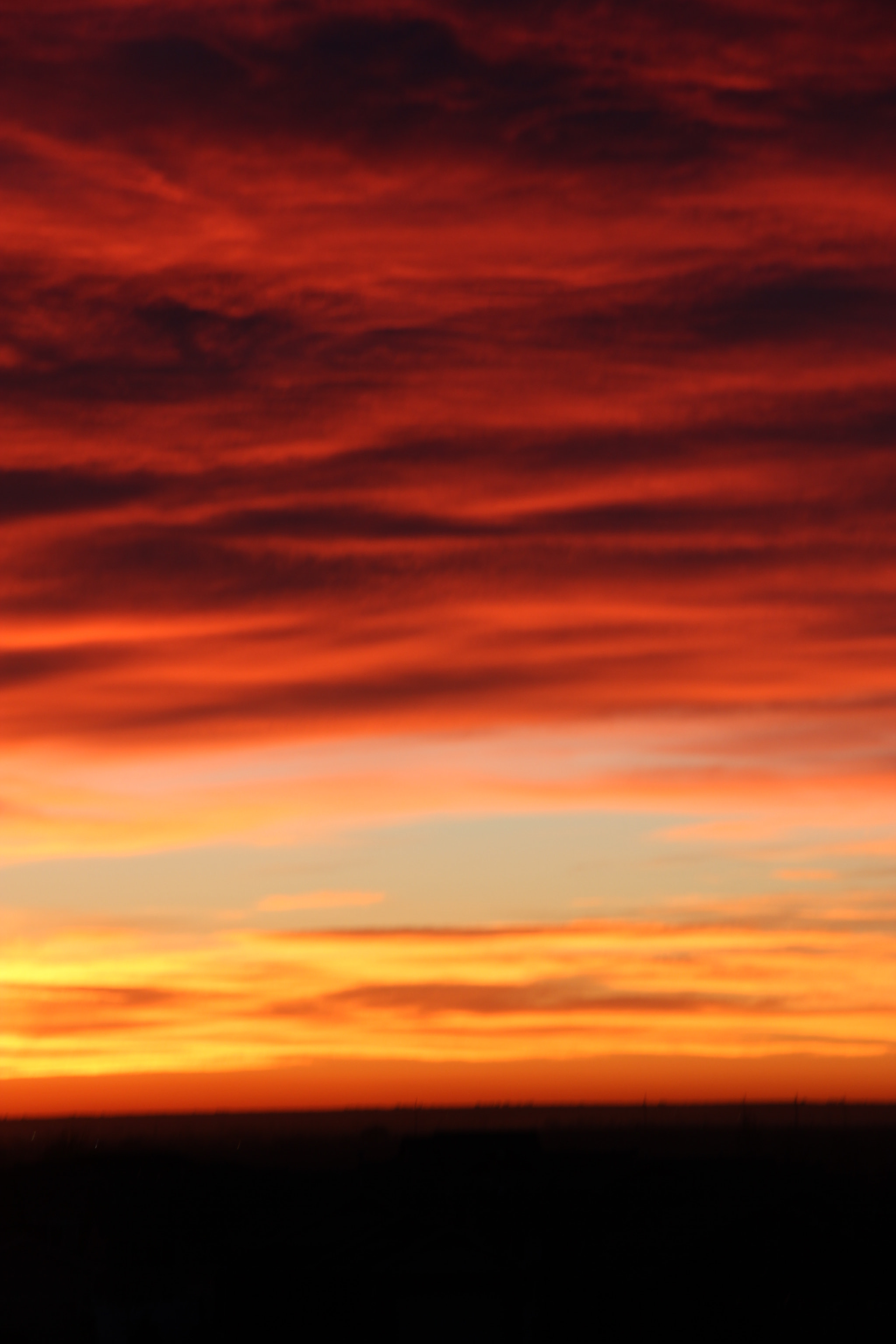 Canon EF-S 18-200mm F3.5-5.6 IS sample photo. Foreshadowing of a new day photography