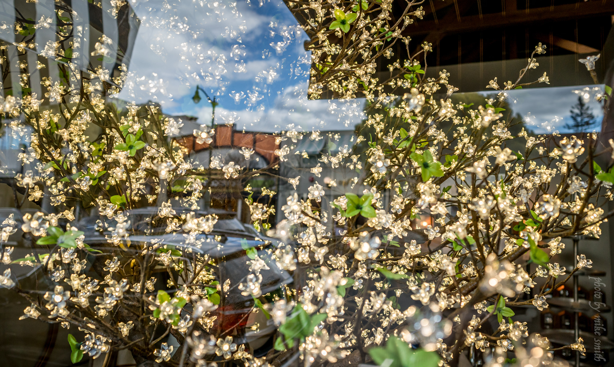 E 21mm F2.8 sample photo. Reflections photography