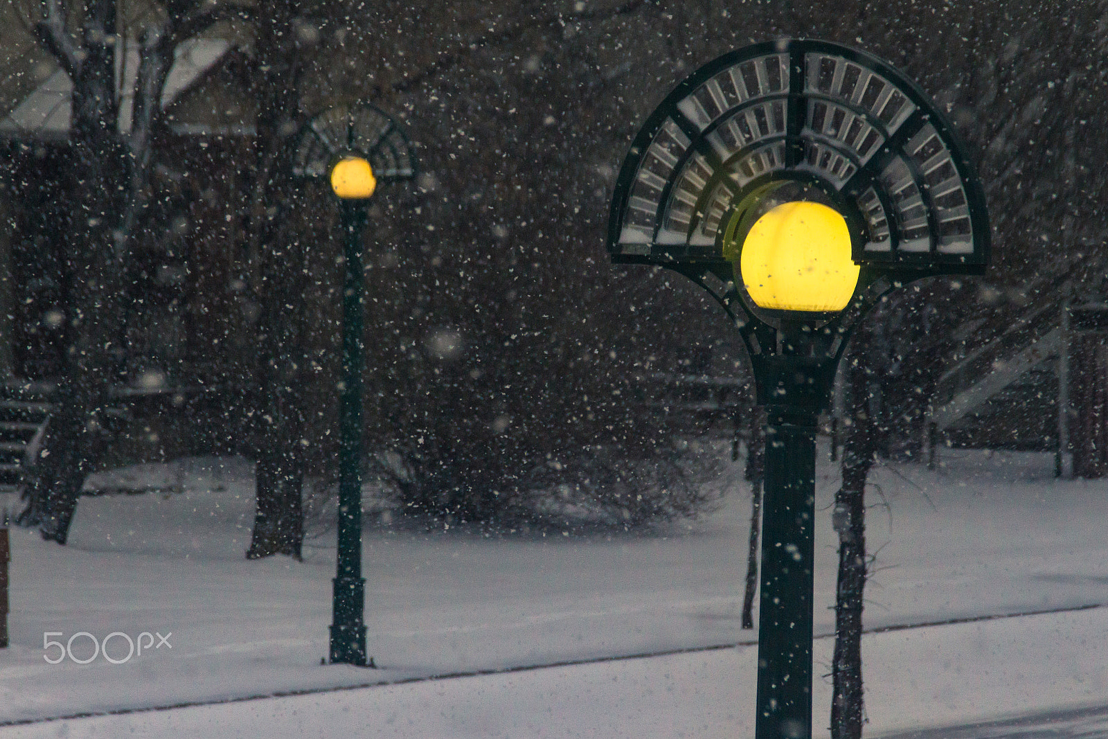 Canon EOS 650D (EOS Rebel T4i / EOS Kiss X6i) sample photo. Winter is back photography