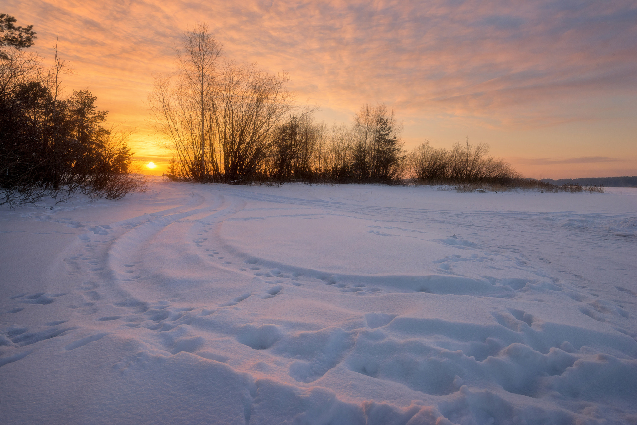 Nikon AF-S Nikkor 14-24mm F2.8G ED sample photo. 585. sunset november day i photography