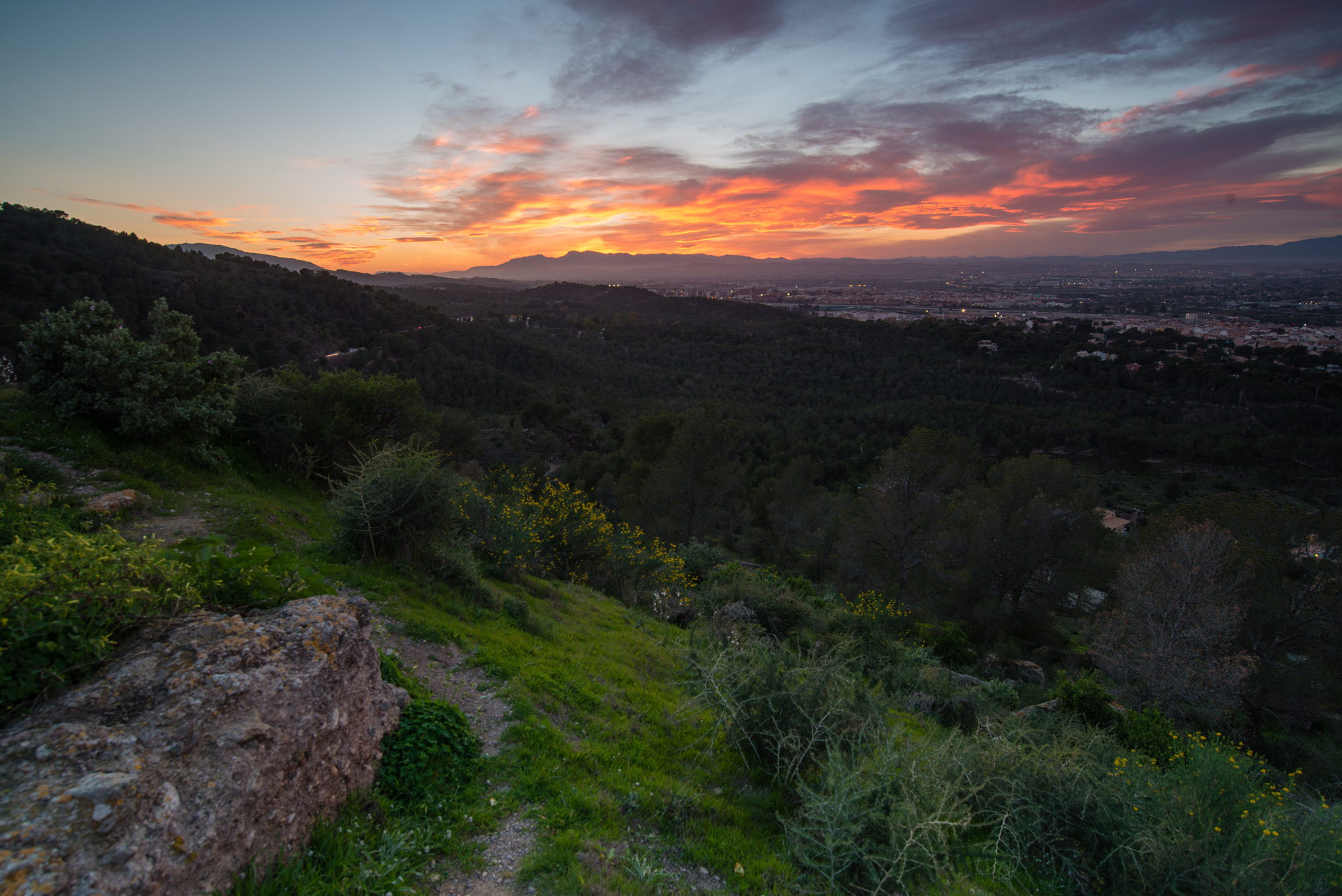 Nikon D800 + Nikon AF-S Nikkor 18-35mm F3.5-4.5G ED sample photo. Atardecer murcia photography