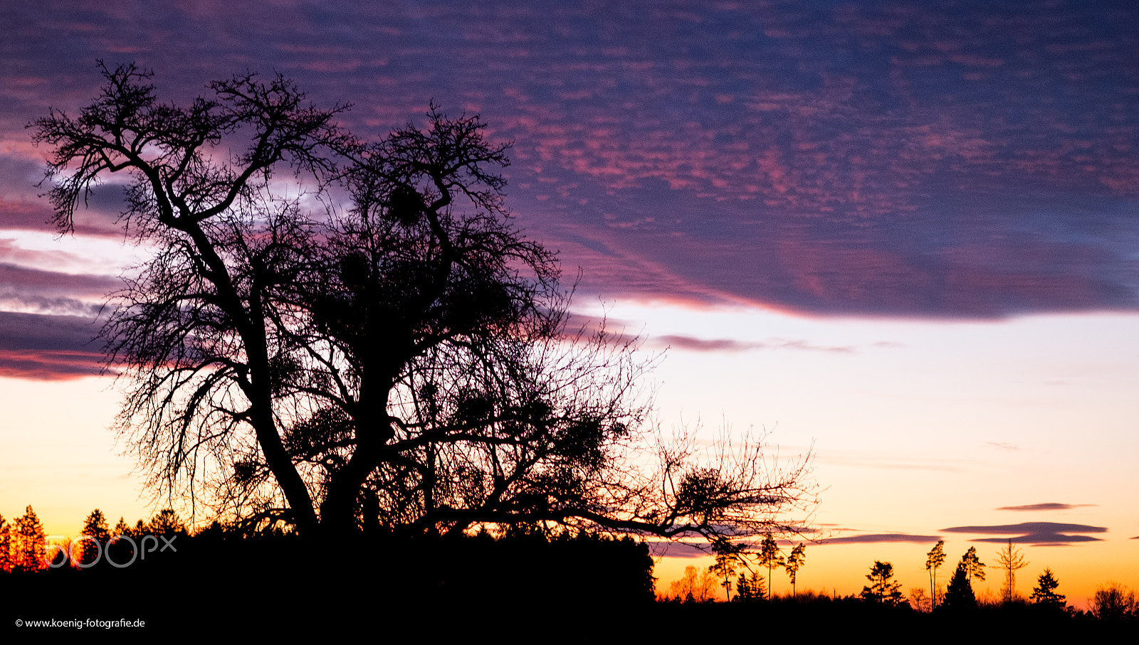 Fujifilm X-Pro1 + Fujifilm XF 60mm F2.4 R Macro sample photo. Sunset photography