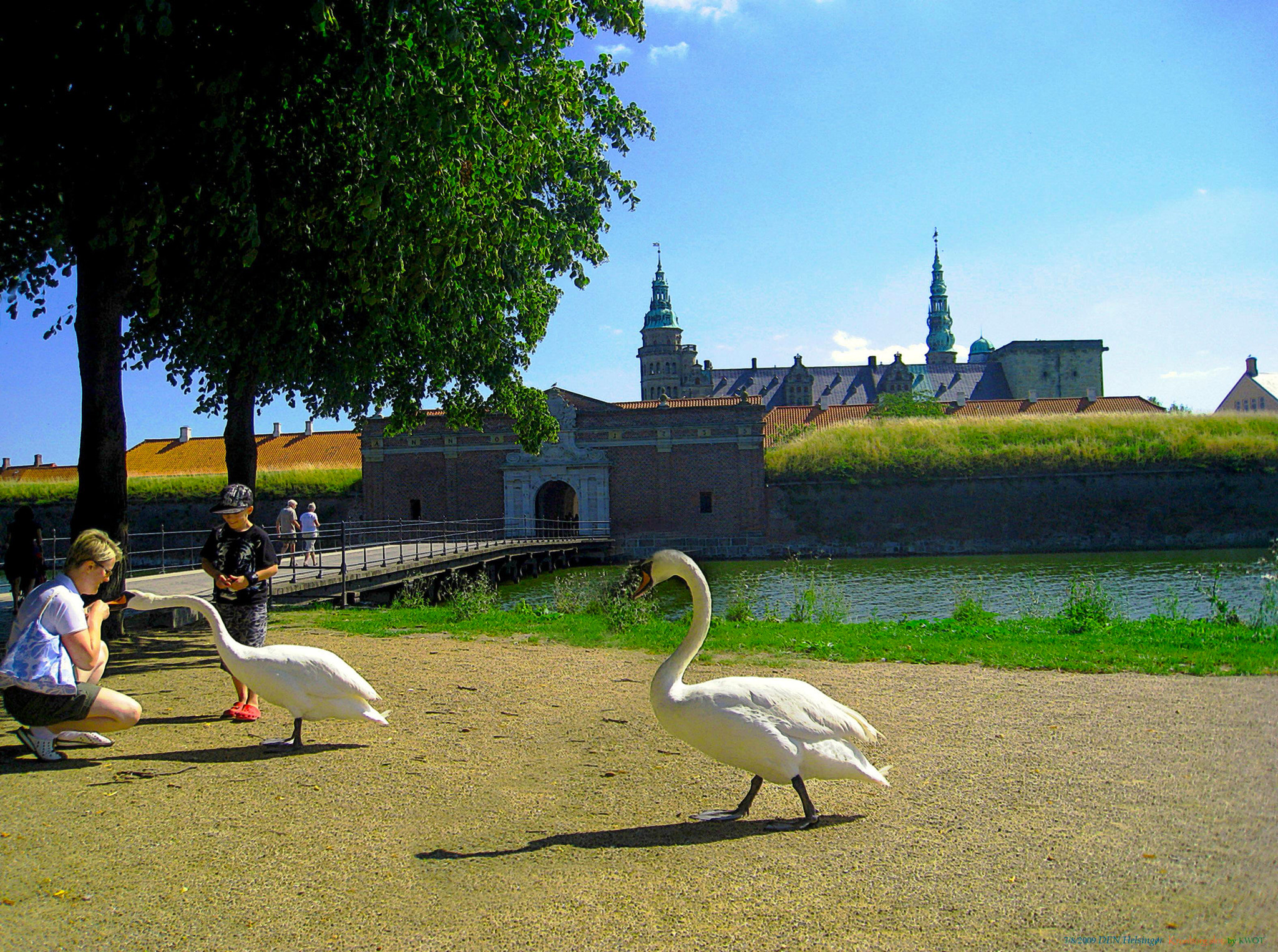 Canon DIGITAL IXUS 860 IS sample photo. Den helsingoer [tower of swans] aug 2009 by kwot photography